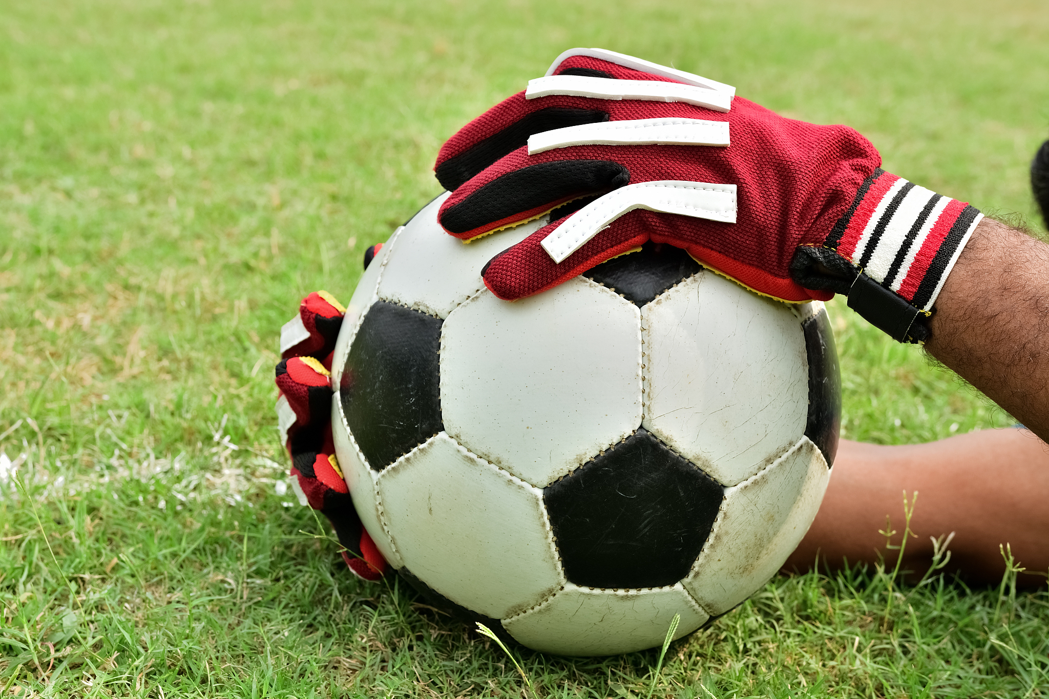 soccer goalkeepe
