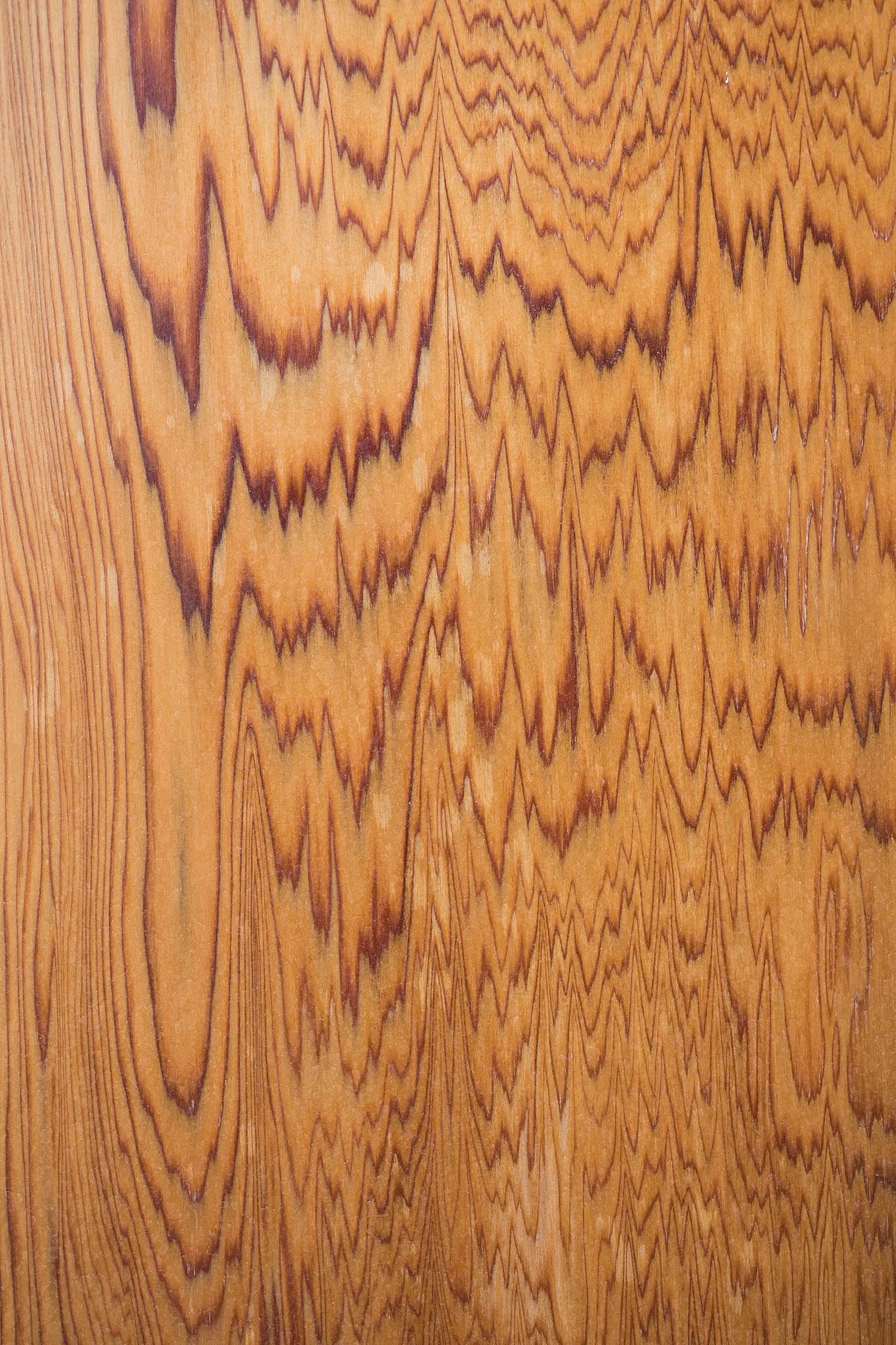 桐木、松木、榆木、白蜡木、樱桃木、北美黑胡桃木的区别特性