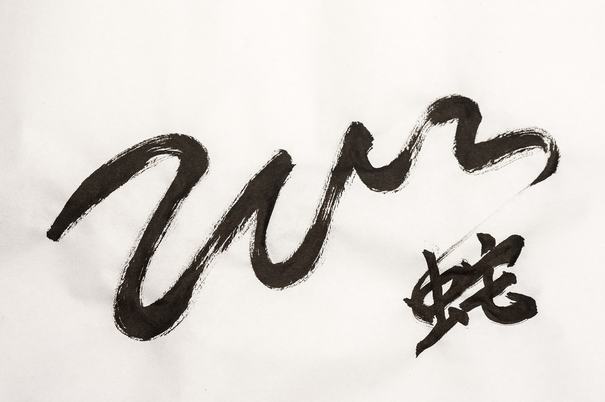 蛇年