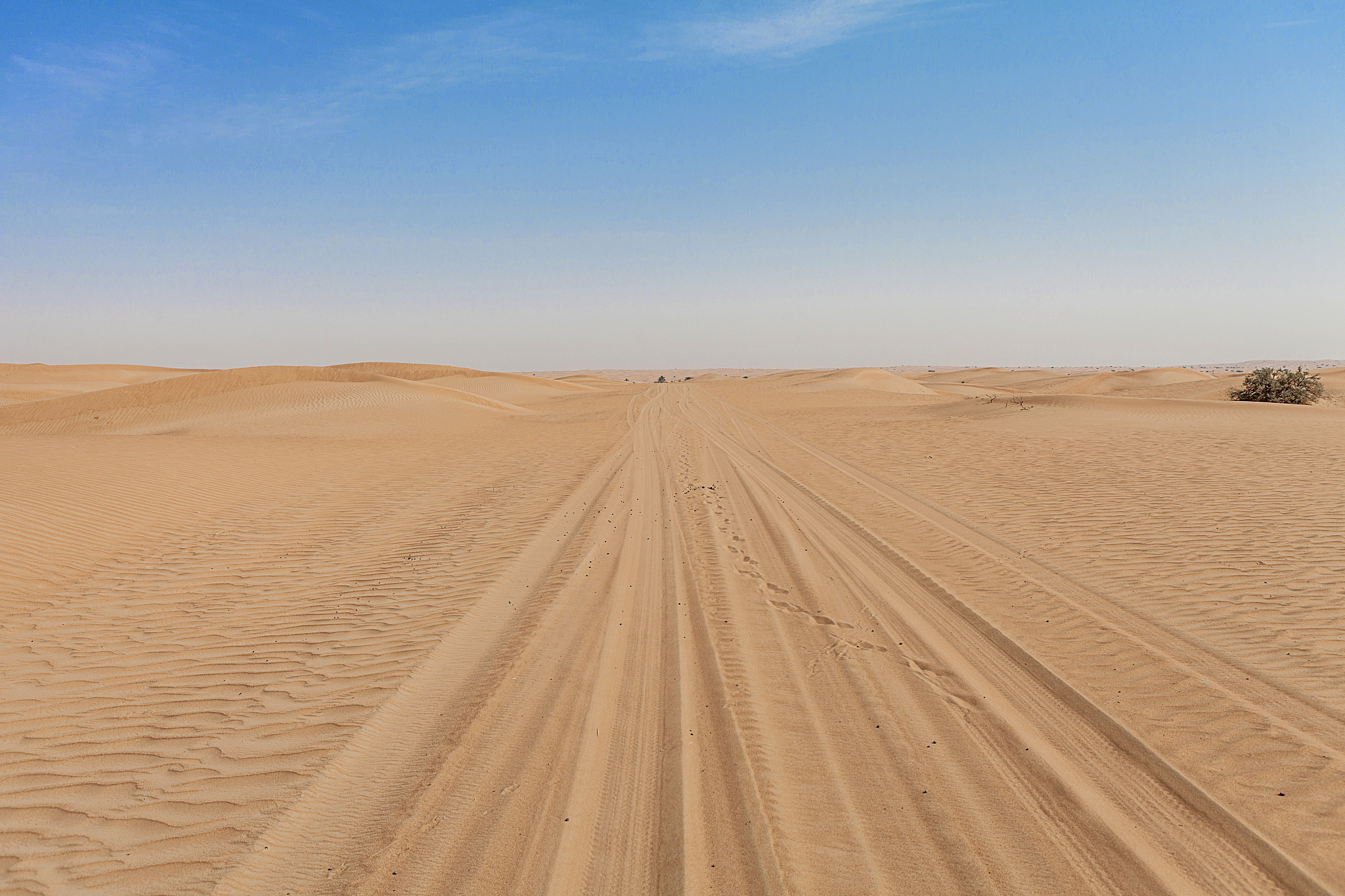 desert