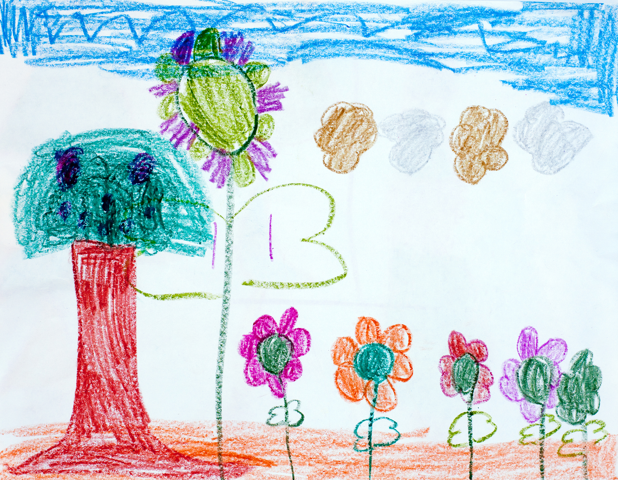 神奇种子魔法树：创意绘画课，让孩子画出独一无二的树