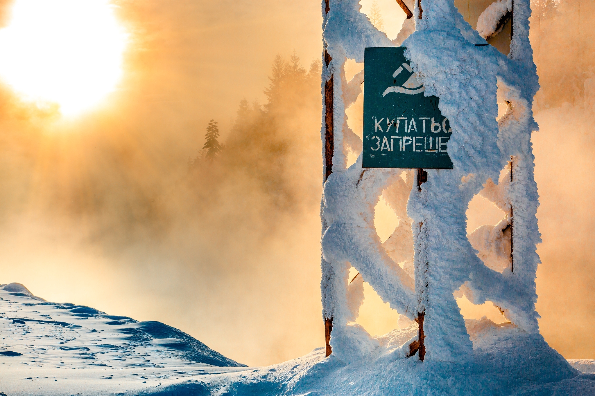 只将时态改为一般现在时：No significant yield difference is observed among the three treatments in each year Fig 2A The average maize yield for six years 2016–2021 is 109 Mg ha-1 for ConWM 108 Mg ha-1 for OptWM an