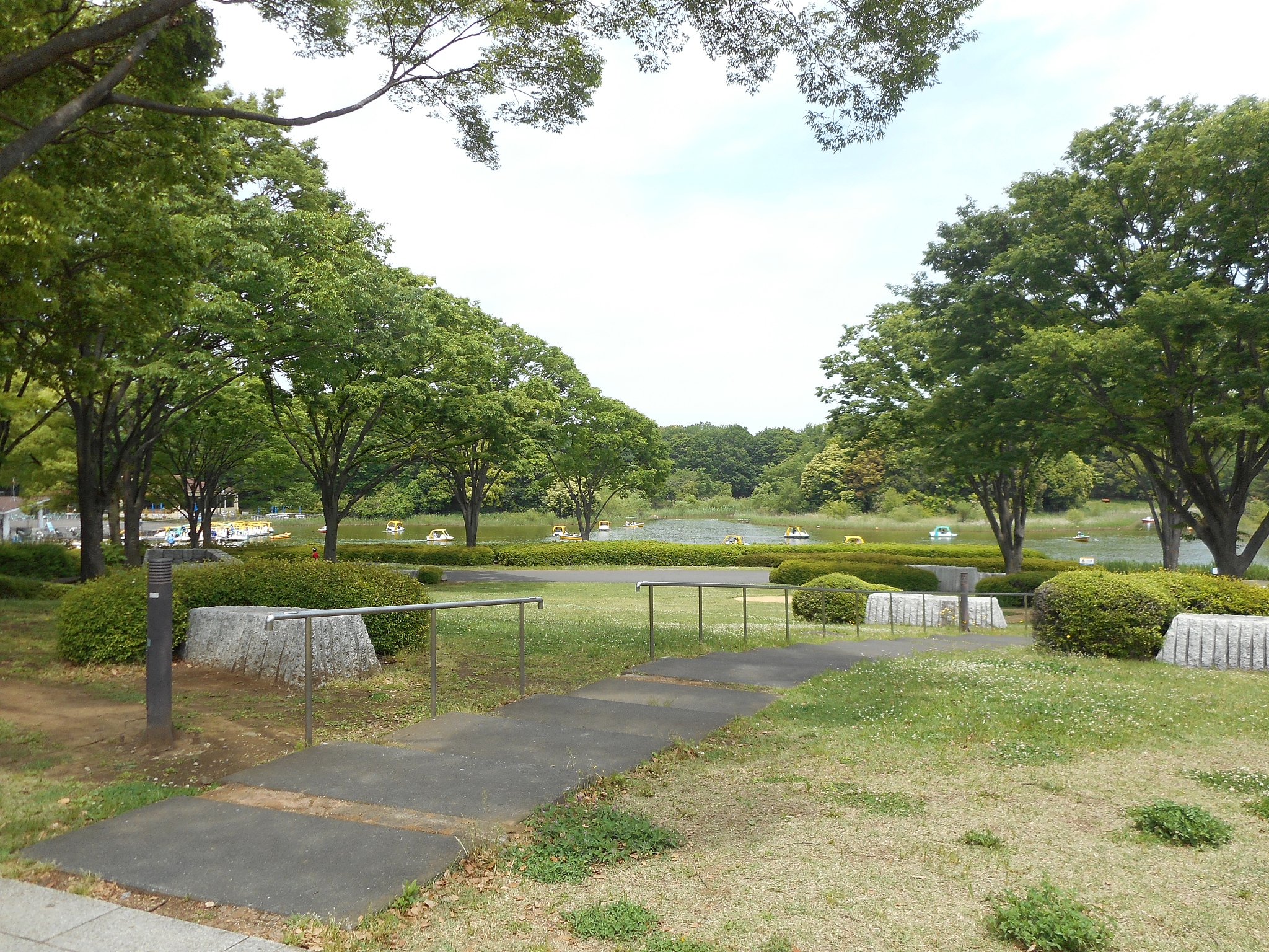小区在公园里有什么坏处