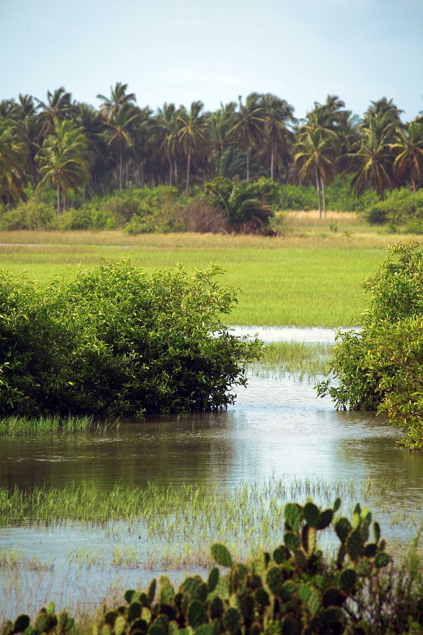 lagoon