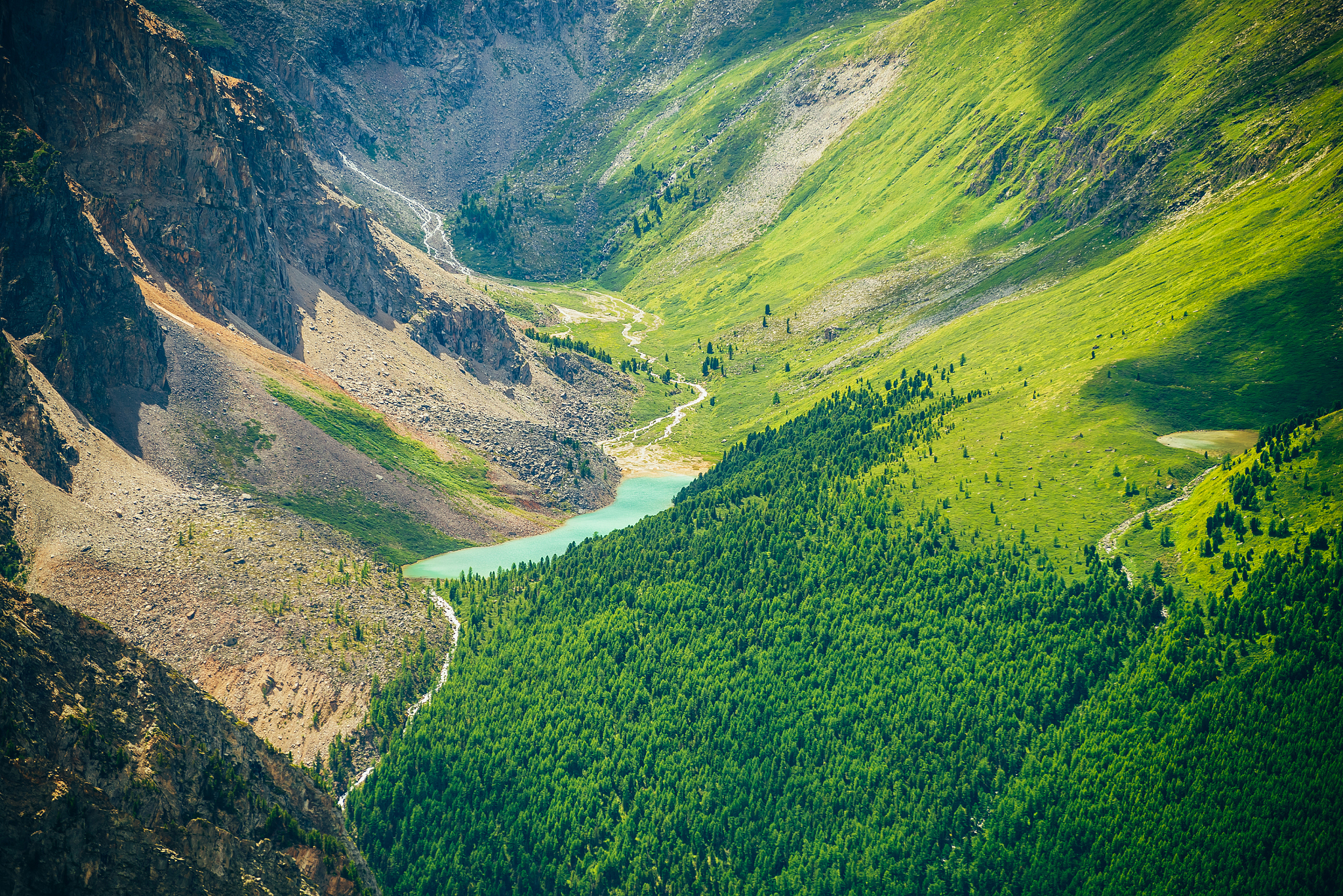nature