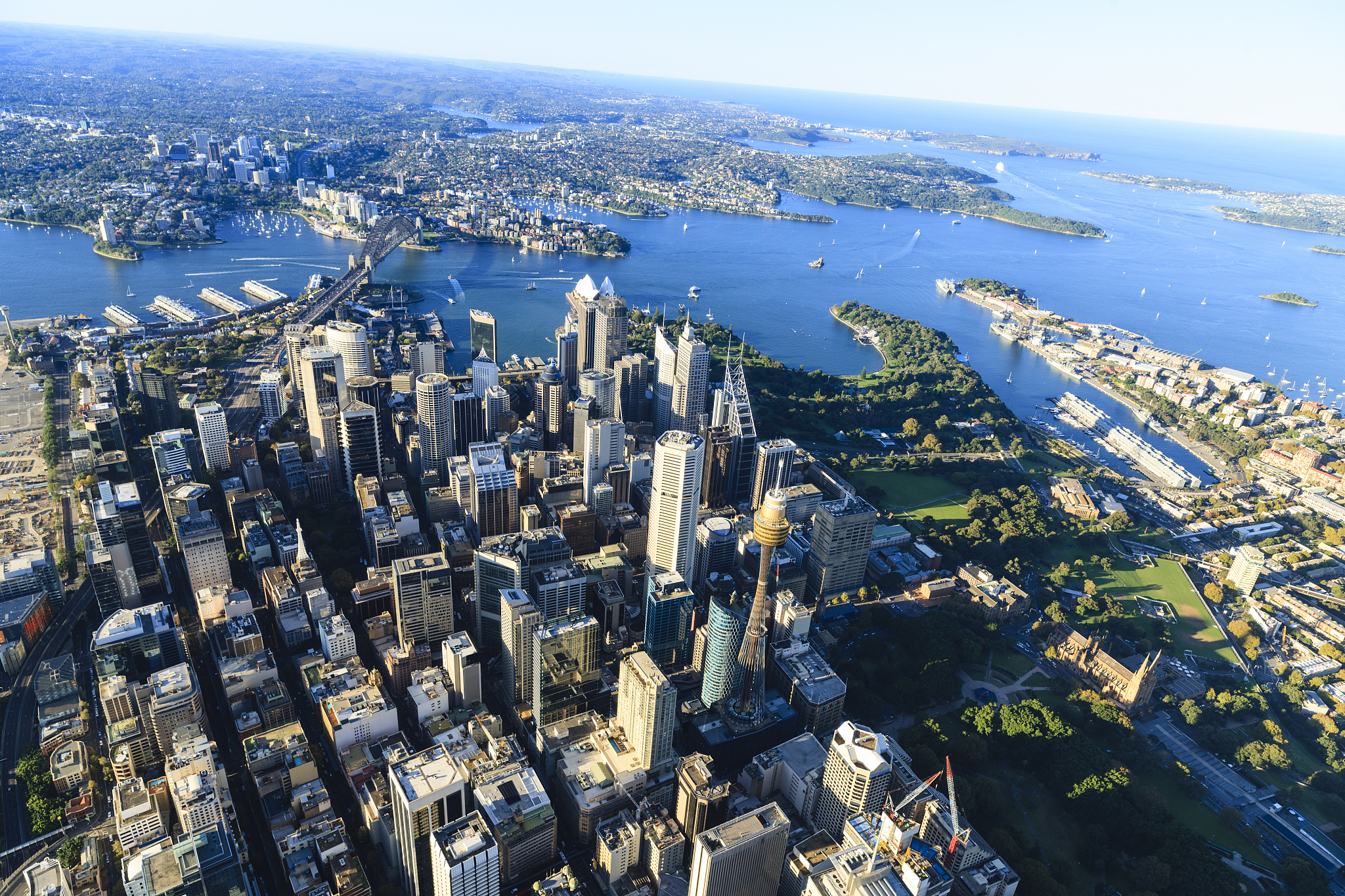 sydney downtown - aerial view