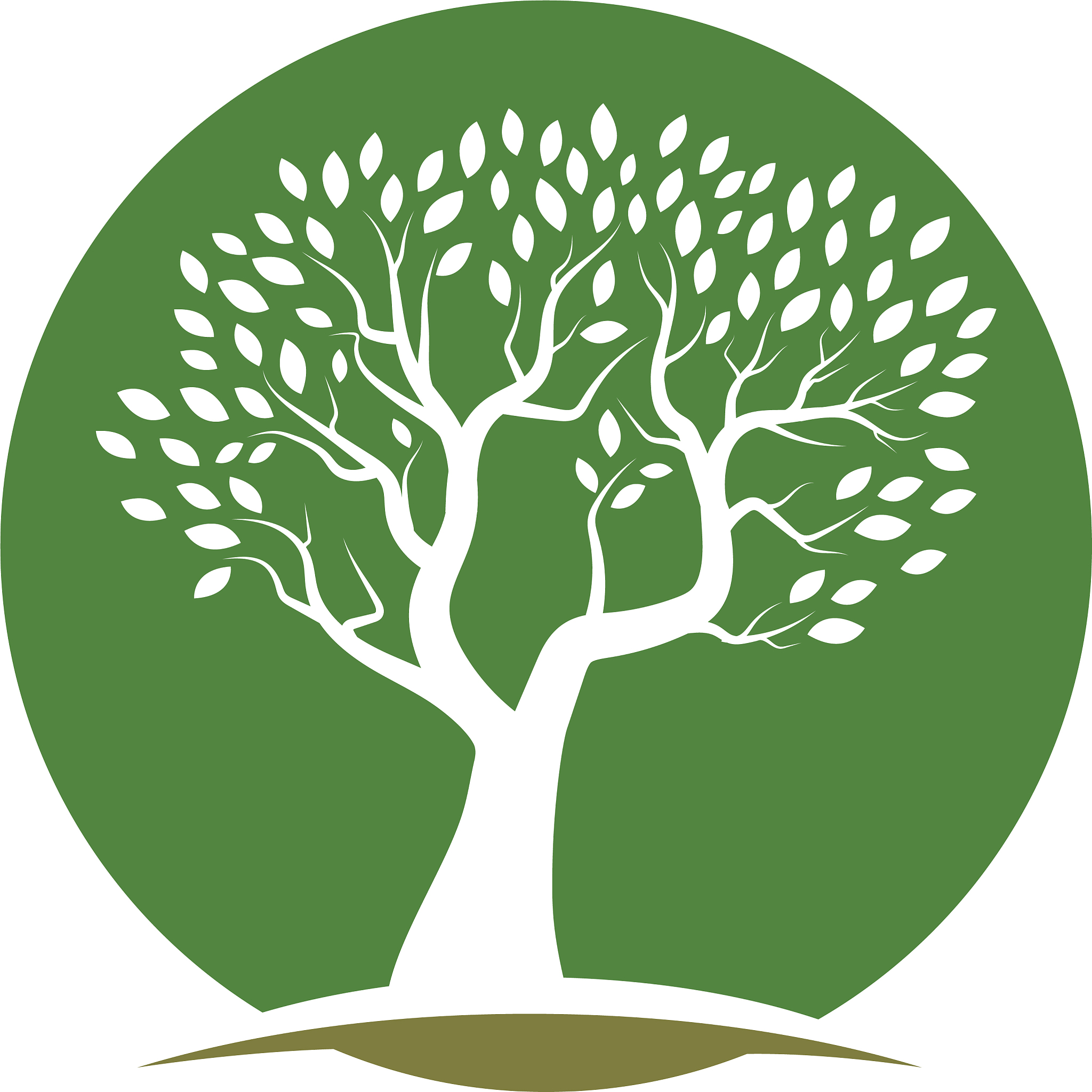 品牌名称,<strong>树</strong>,模板,生物学,暗色,环境,植物群,公园,春天,植物