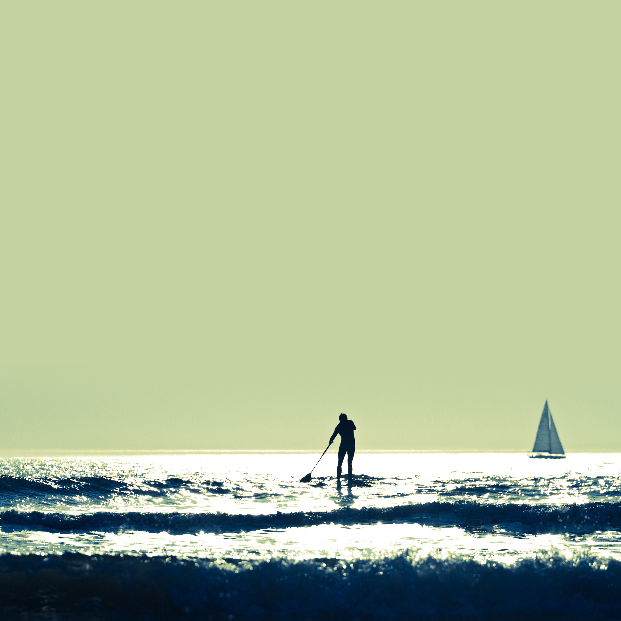 做自己的摆渡人：指引人生方向，走向成功和幸福