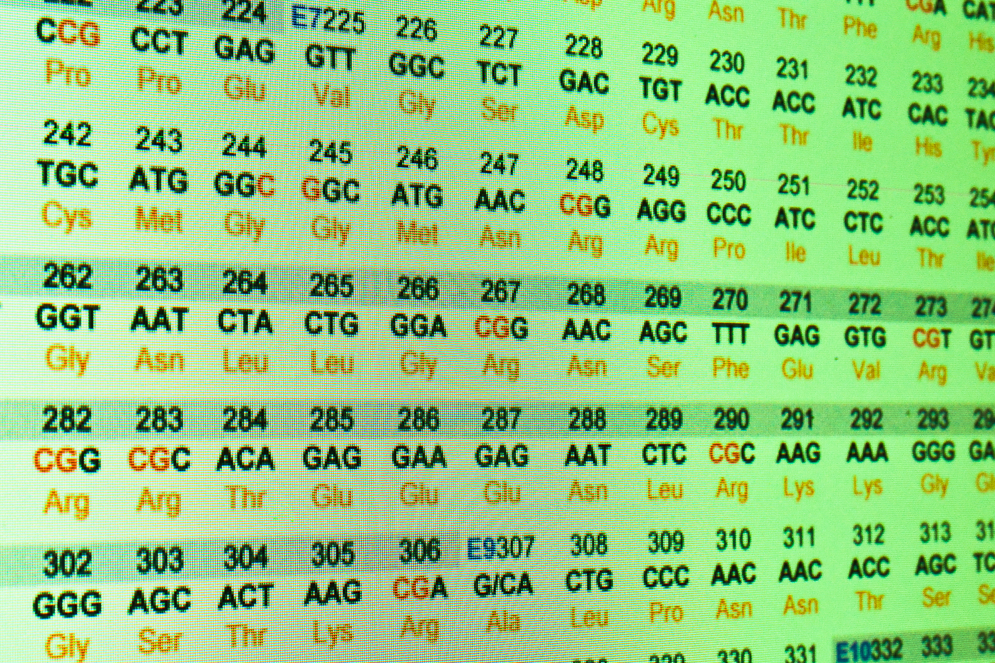 香肠用肠衣硬化蛋白制商品编码