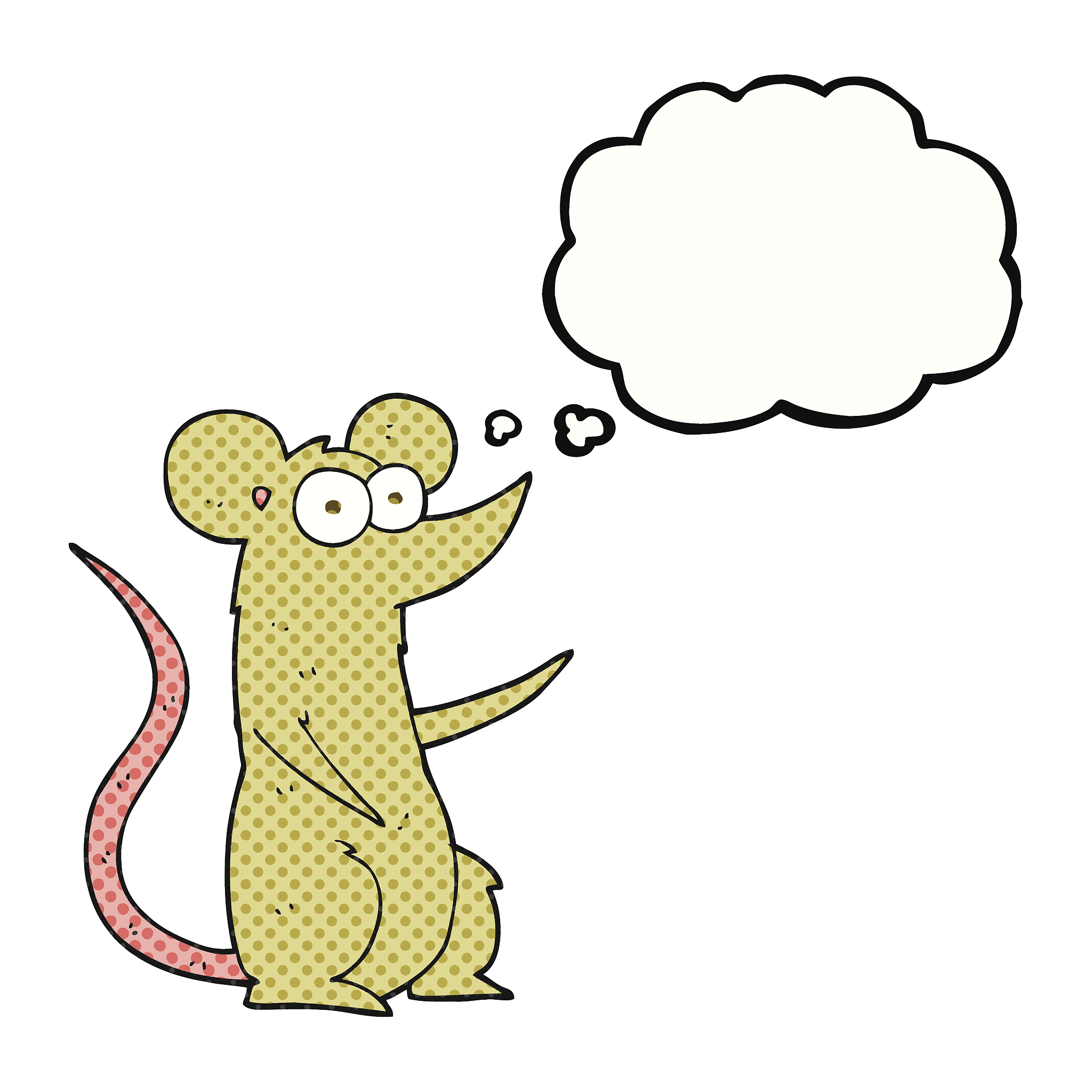 推荐几个可以学习男女知识的网站