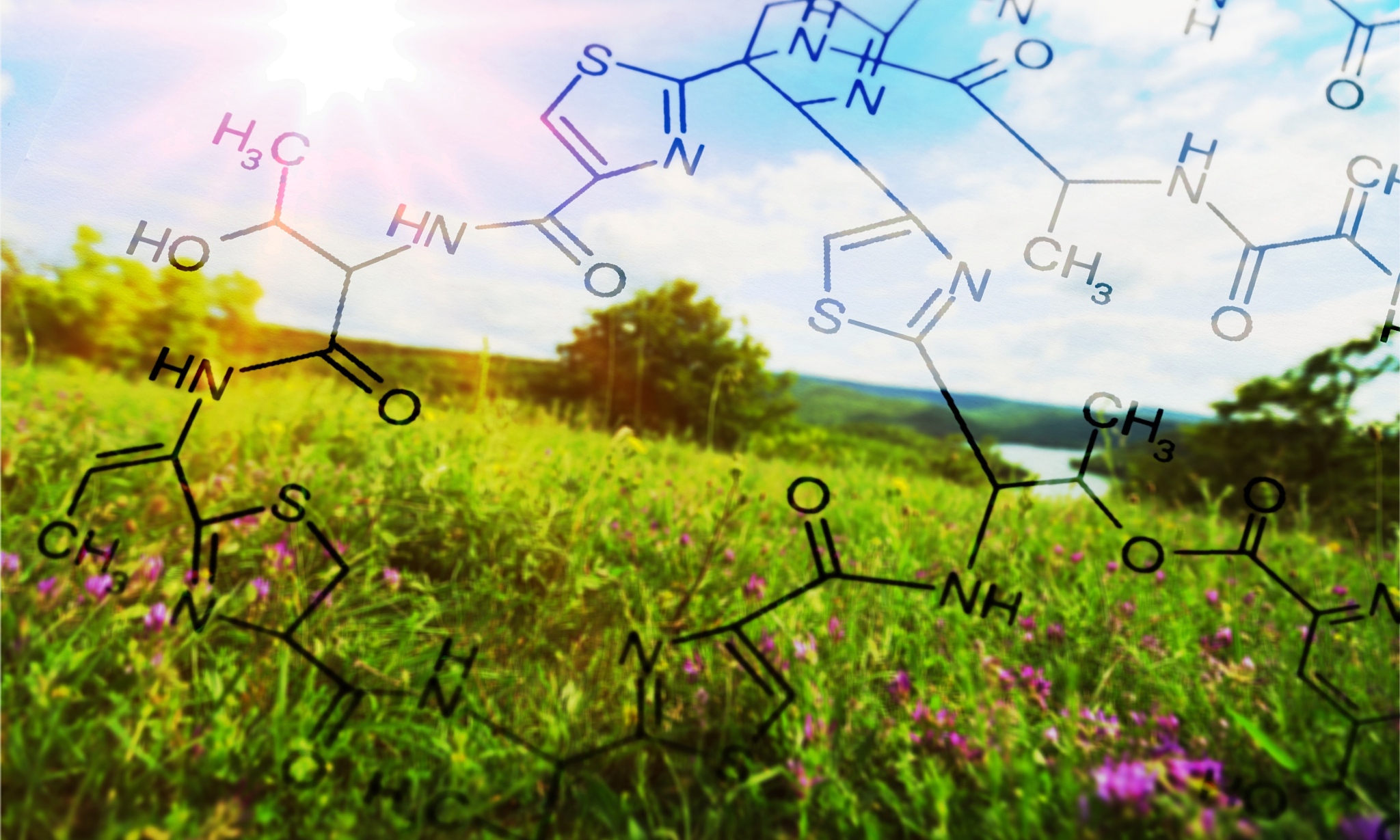 黑龙江生物科技职业学院作物生产技术联合培养专业专业好不好发展前景怎样