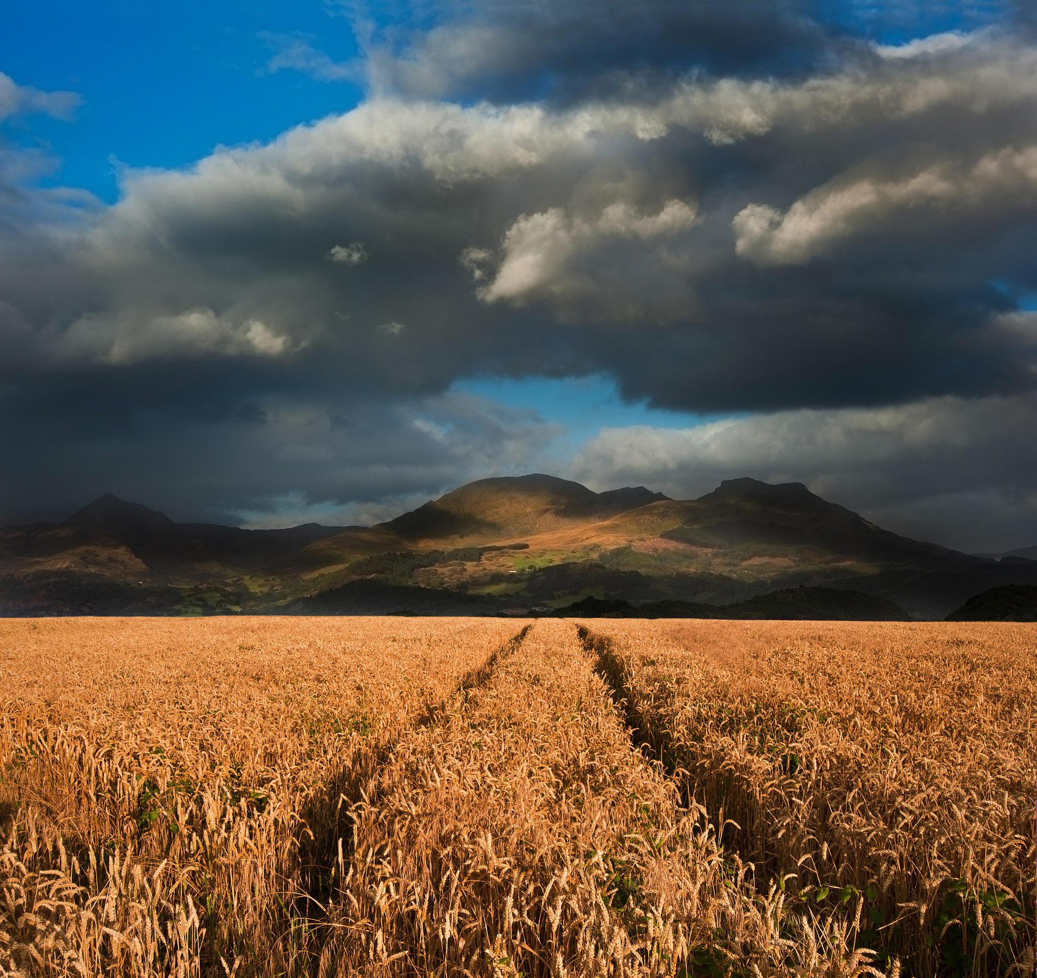 有学者研究不同季节下人类活动对生态环境的影响文献综述