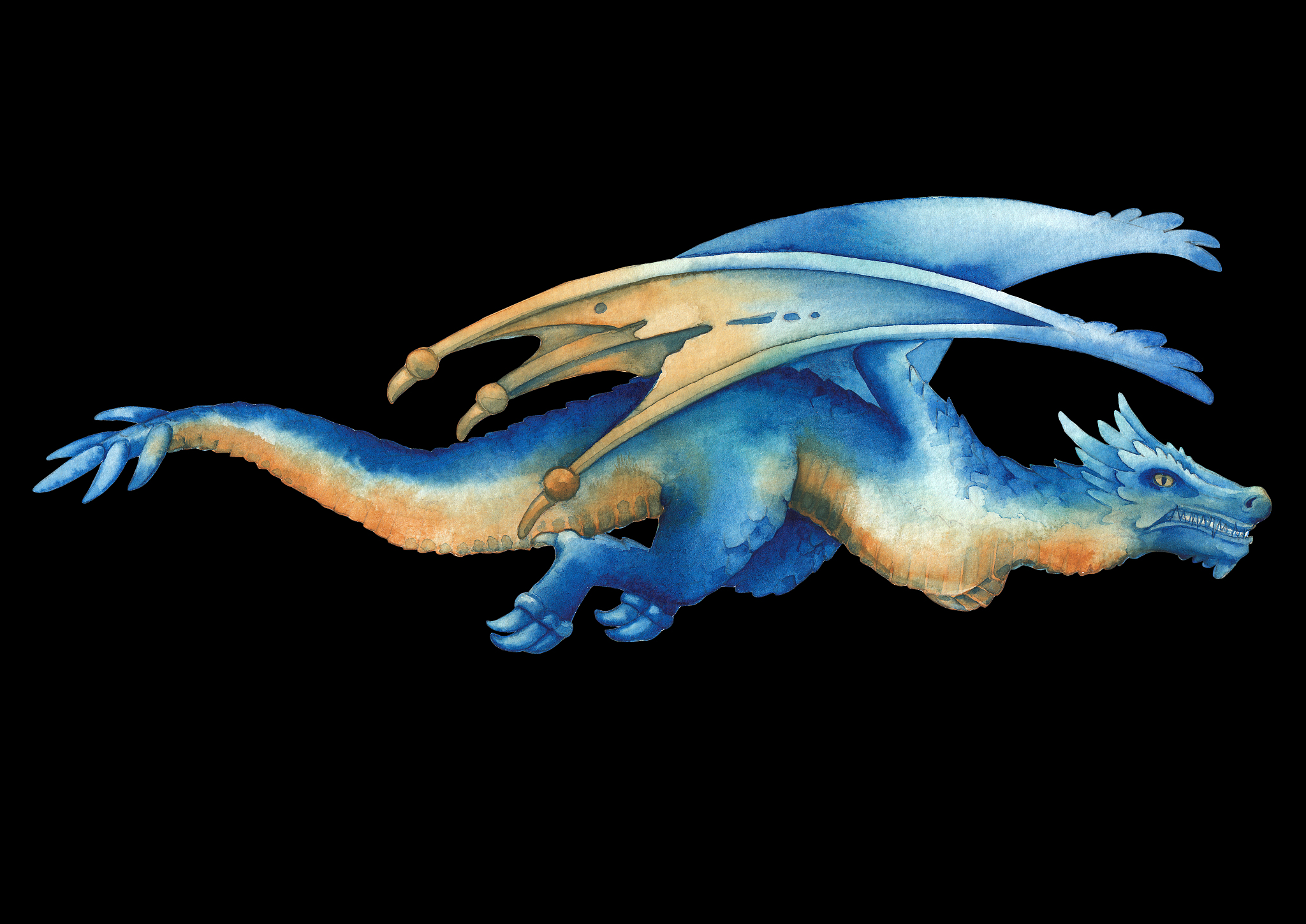 flying watercolor dragon in blue colors in the side view.
