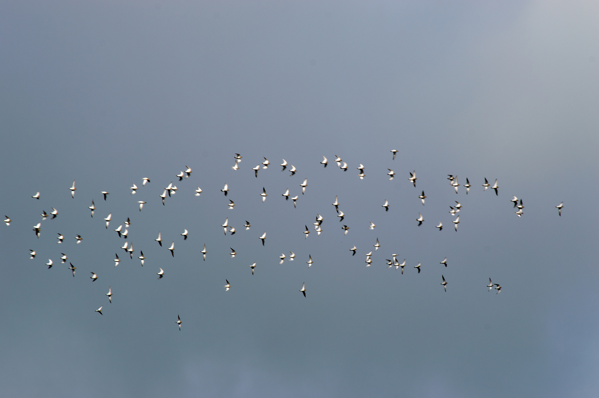 重庆初中生报考铁路学校指南：2020年热门学校推荐