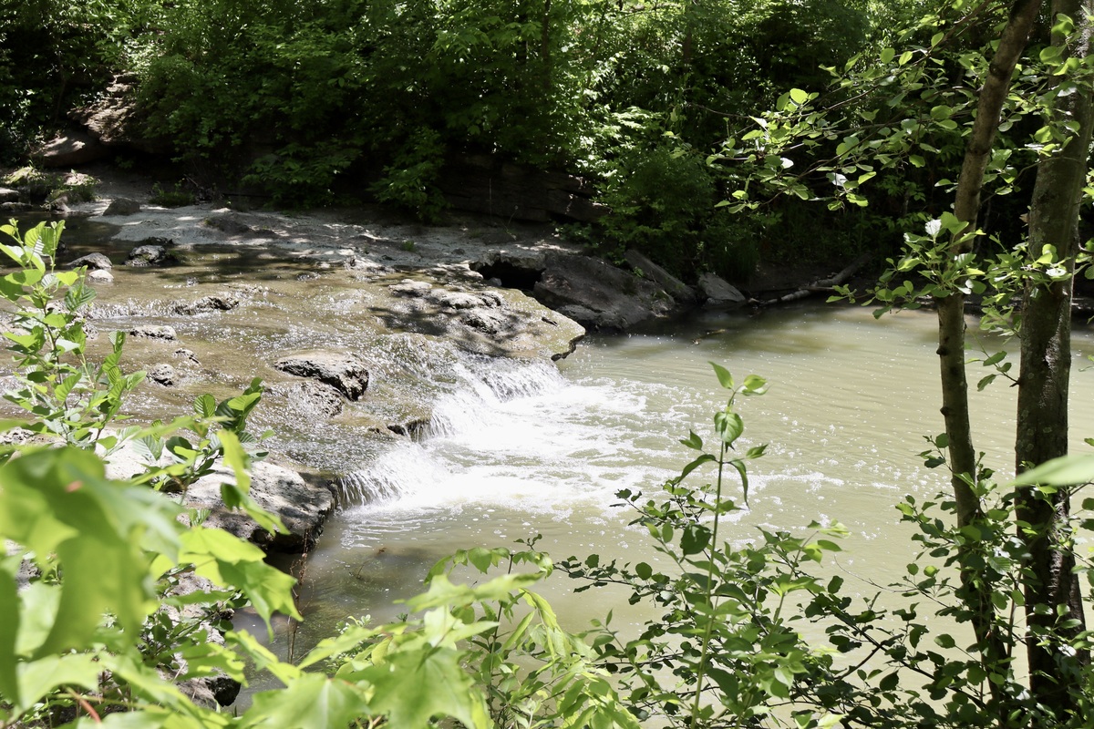 5 个描述河流的提示词，激发您的图像生成灵感