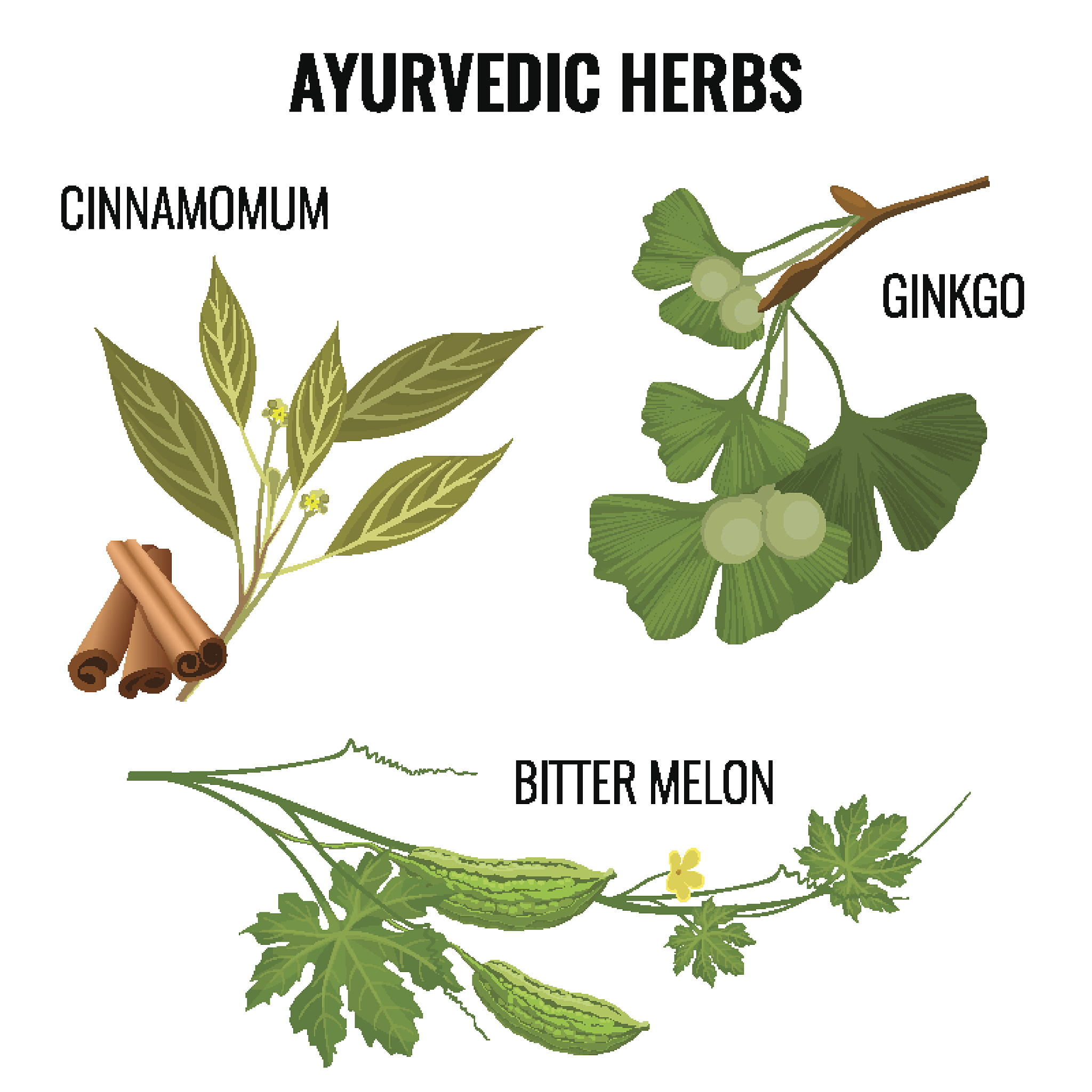 PLANTA MEDICA期刊研究范围: 植物药学与天然产物研究