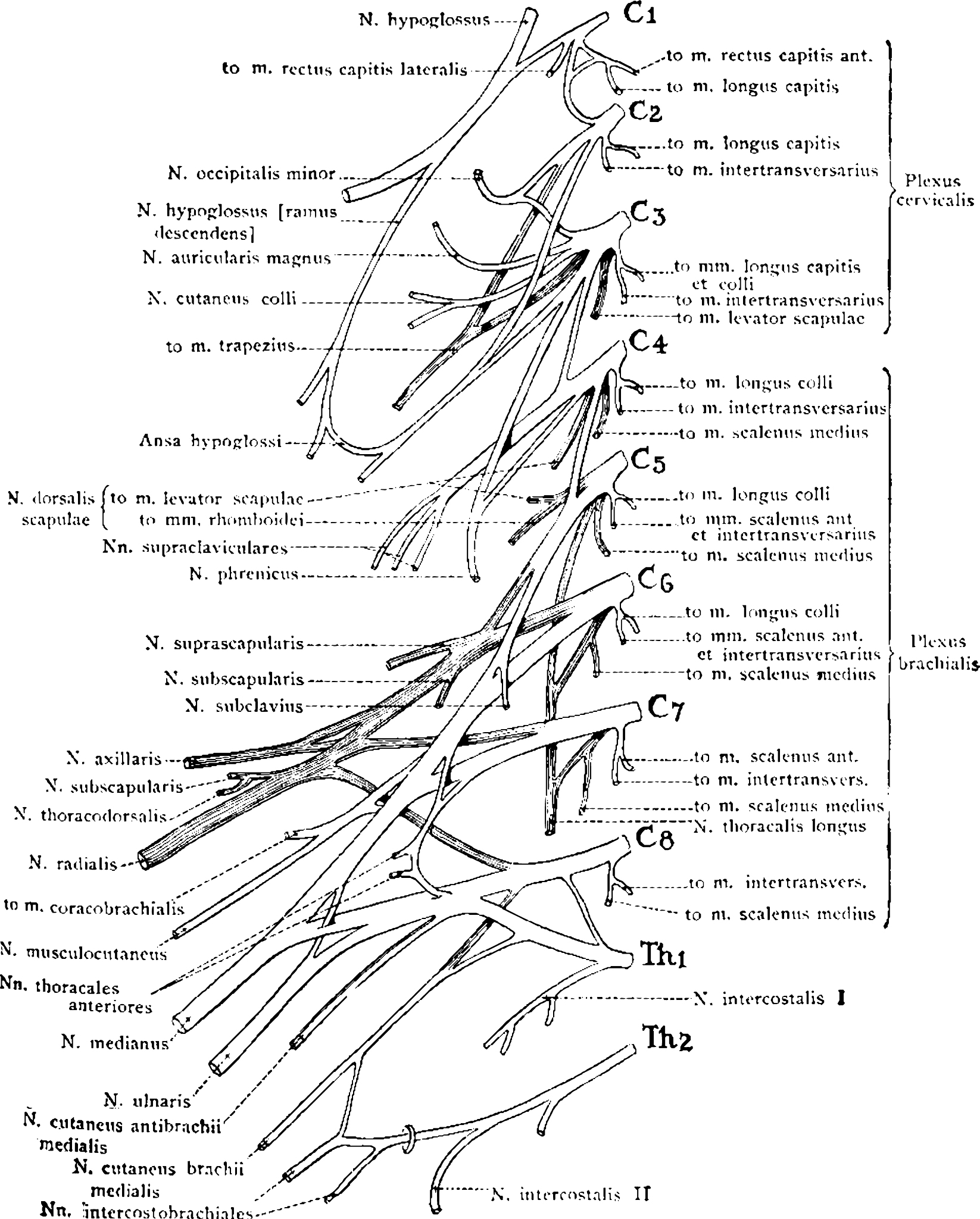 工作投入理论与测量方法研究史：里程碑与关键理论