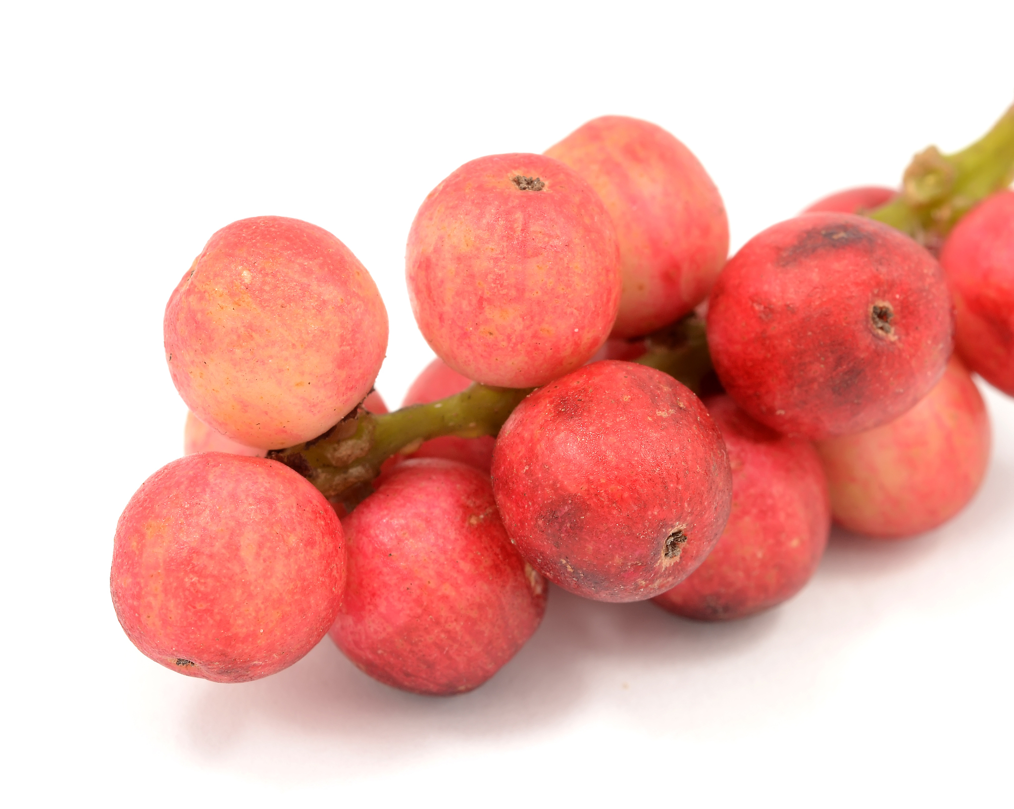 鼎鑫沙棘果片能预防心血管疾病吗？功效作用解读