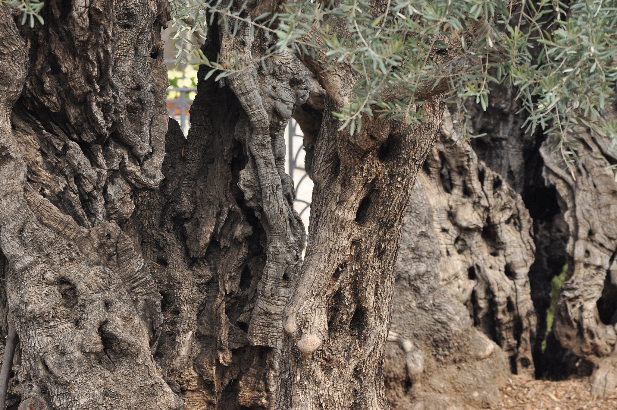耶稣中涉喜说什么了回答加拓展。