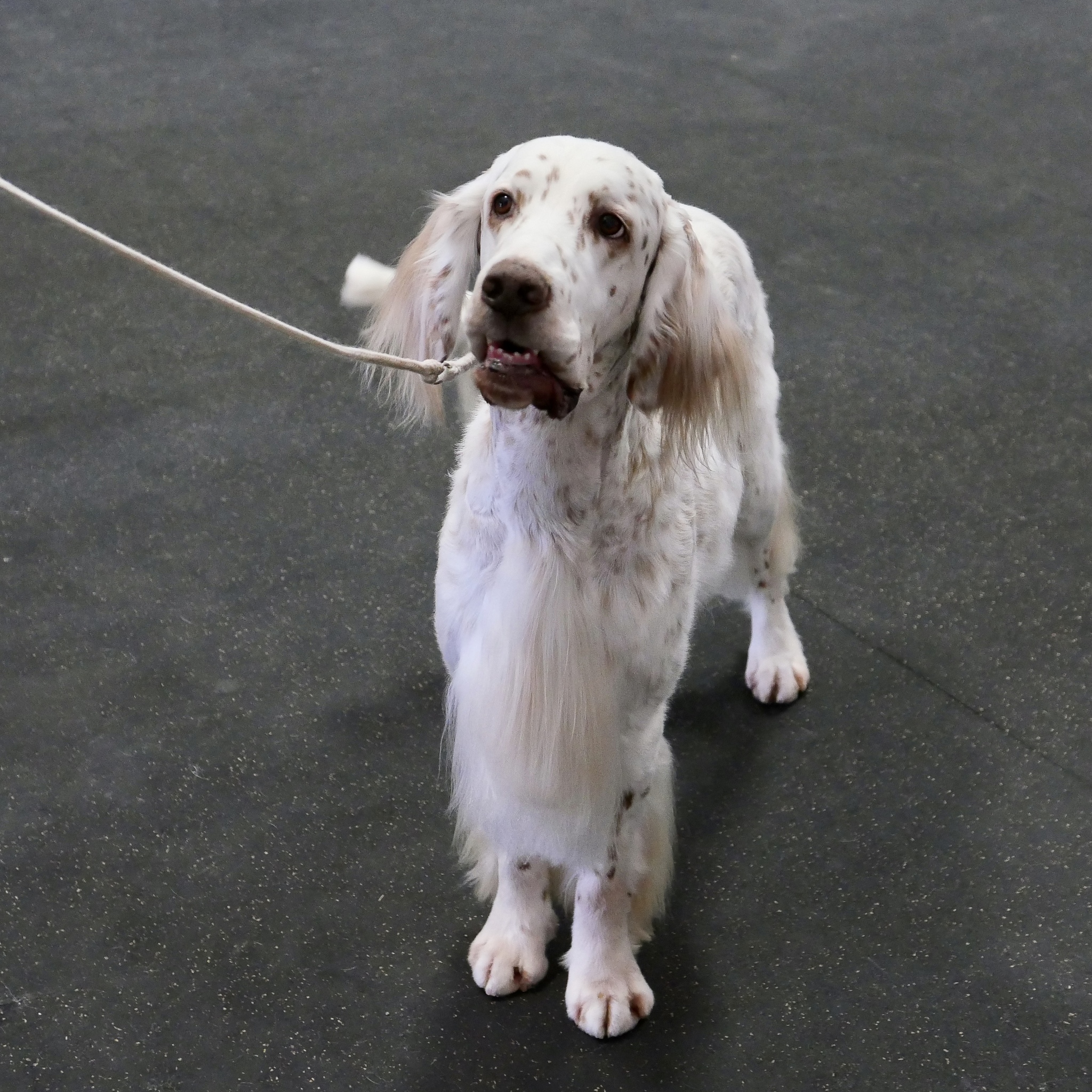 四川凉山卫生学校怎么样_教学质量如何