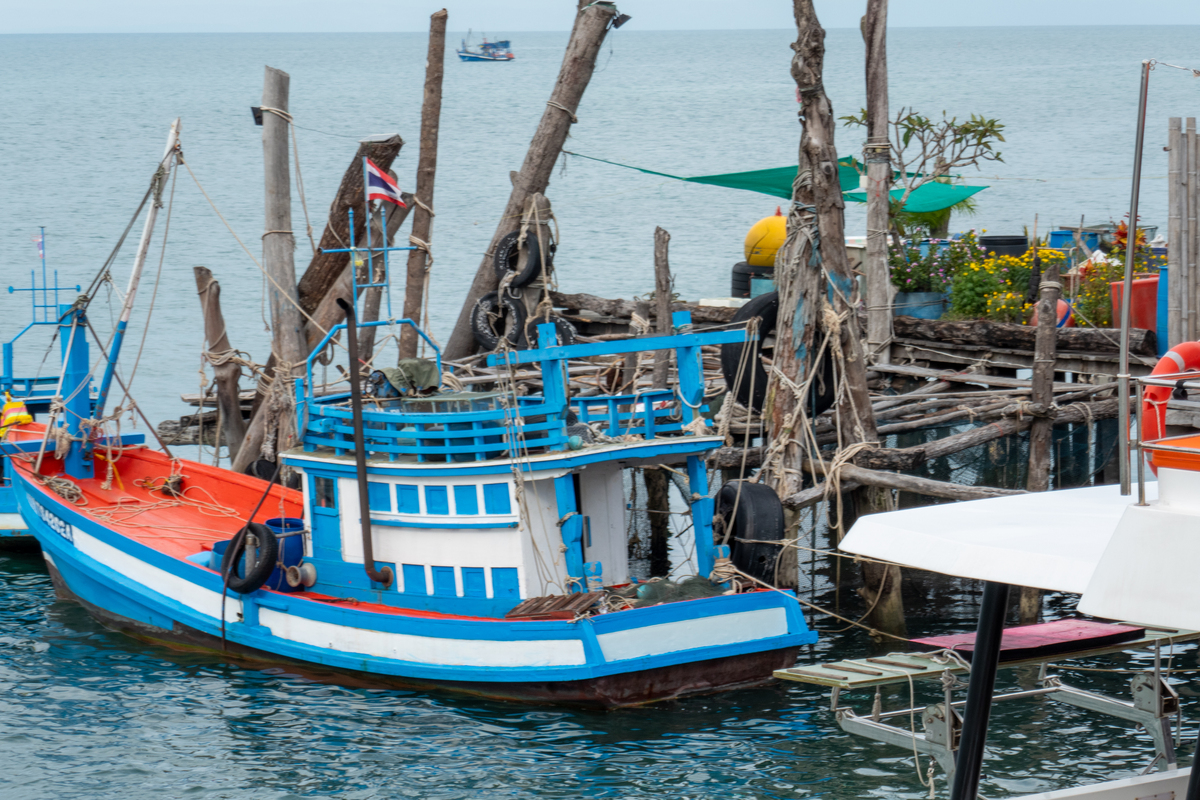 深圳海运保险公司推荐 - 2023最新排名及联系方式