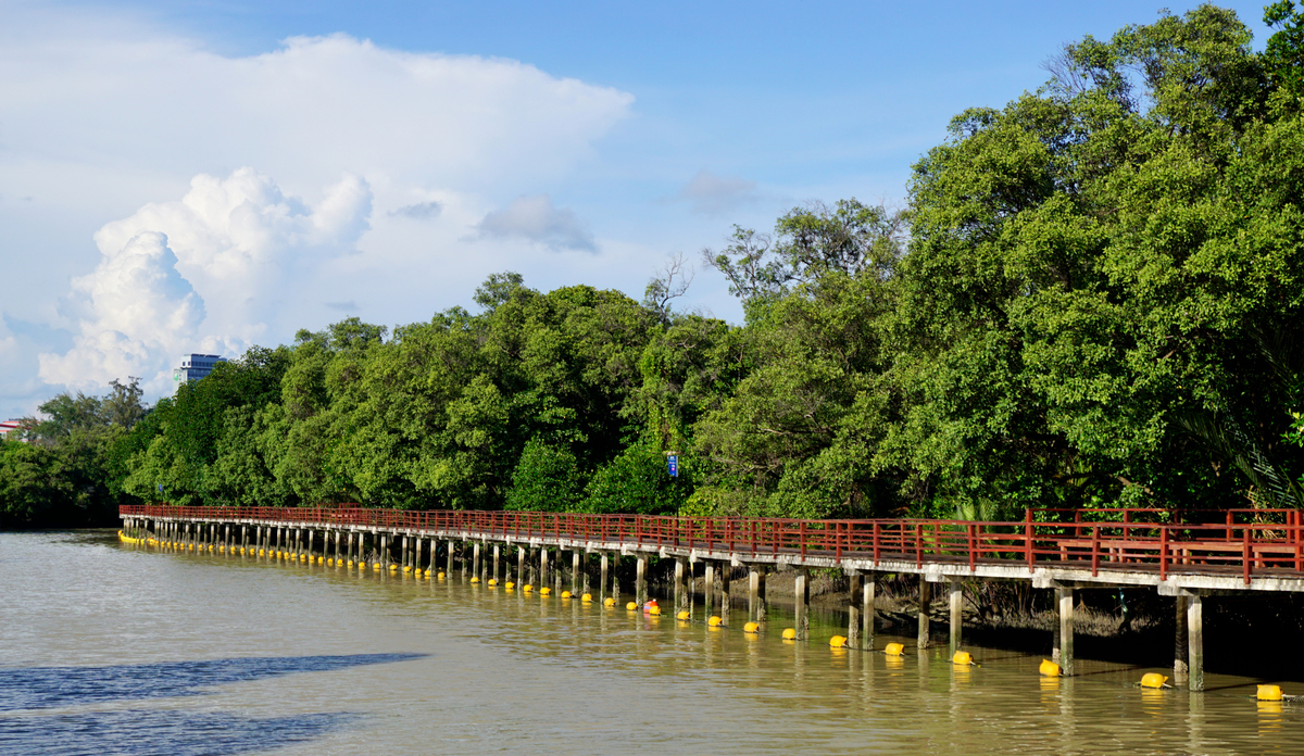 厦门五缘湾湿地公园游记