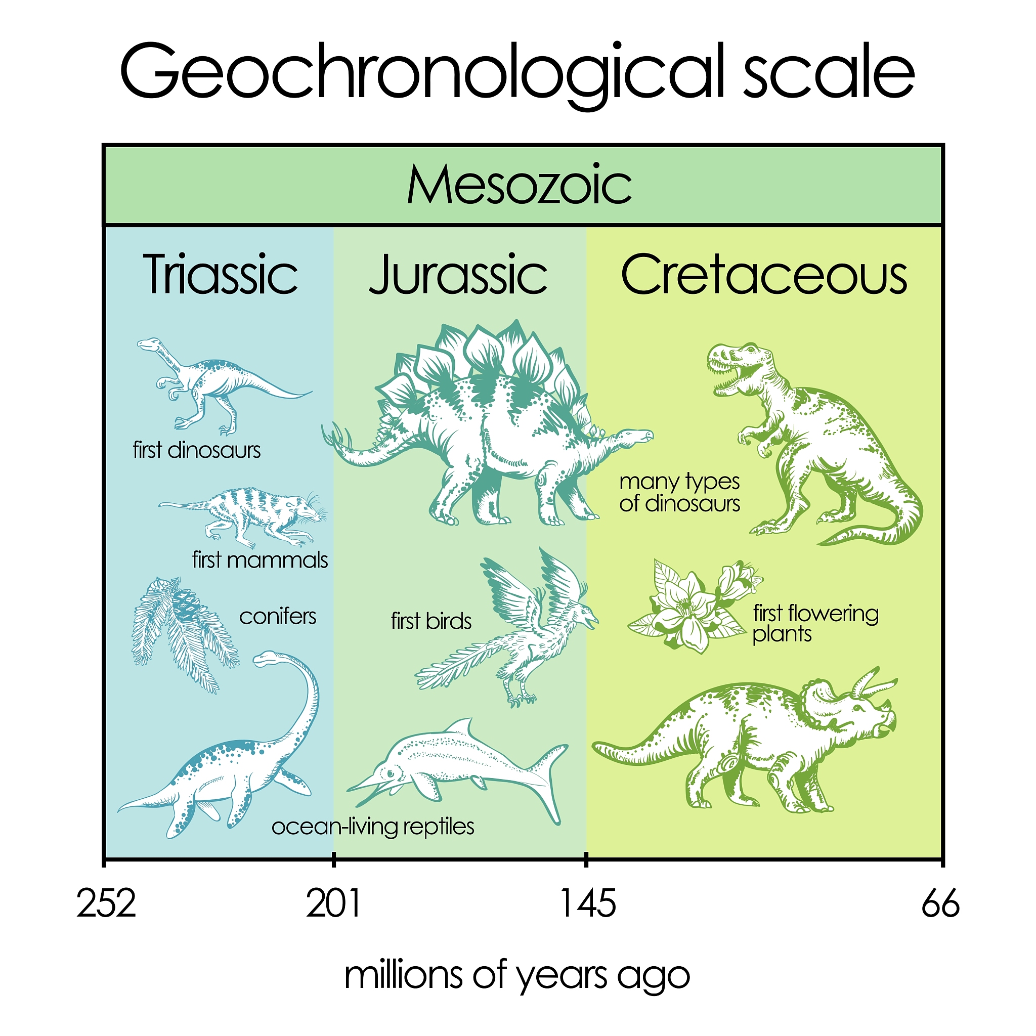 Geological Magazine: 推动地质学研究的学术期刊