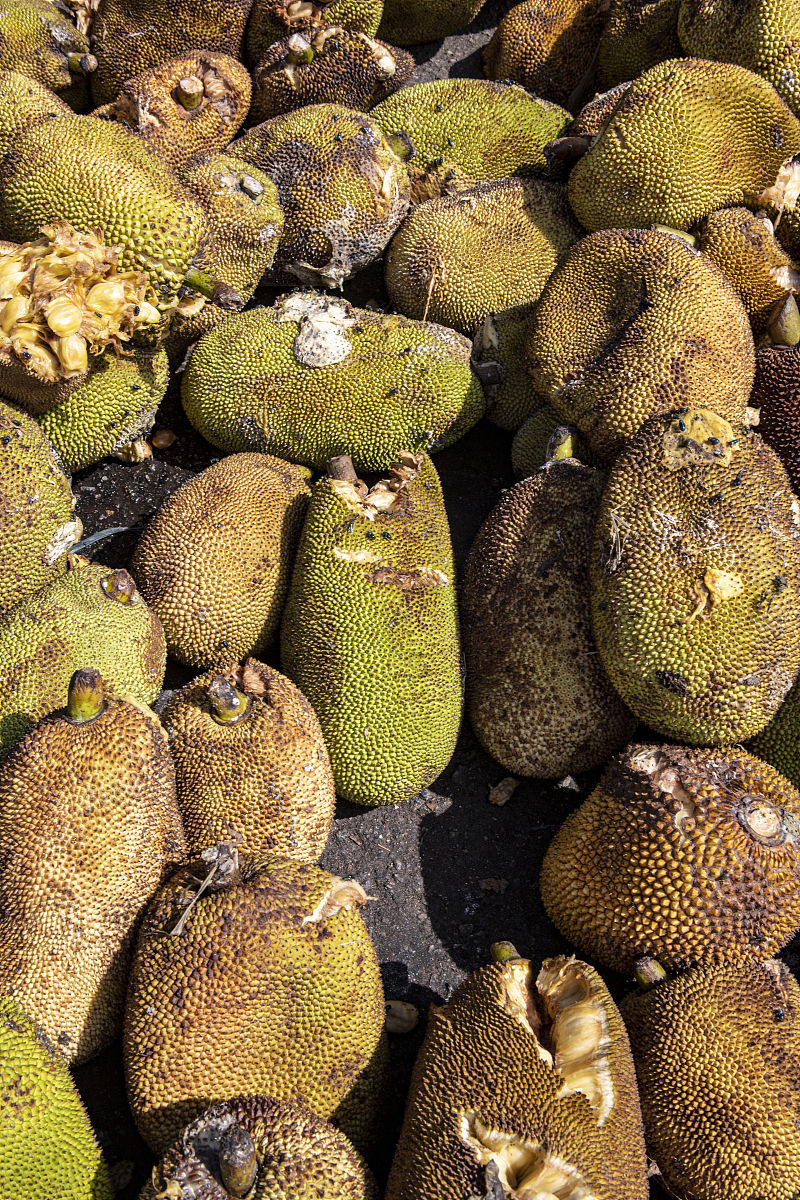 遵义职业技术学院园艺技术教学质量如何