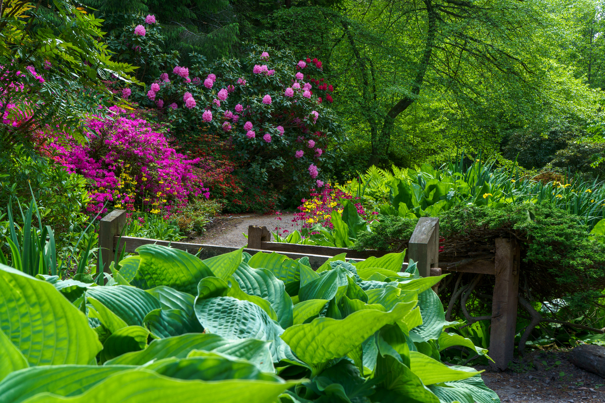 用细节描写写一段话：夏日花园的宁静与美好