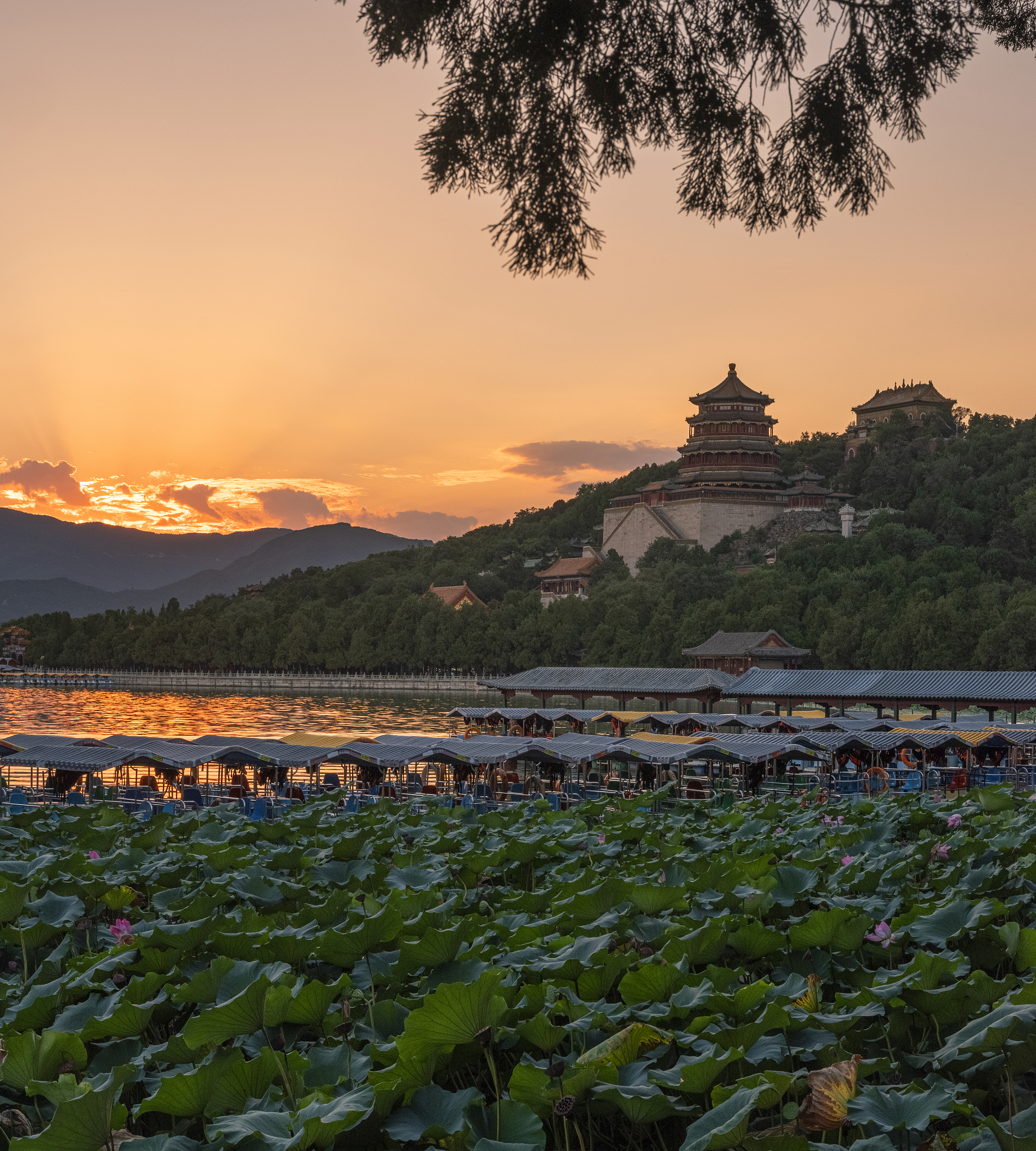 假期王灵和她的父母去了北京。他们在北京参观了长城 the Great Wall 和颐和园 the Summer Palace 品尝了当地的美食拍了很多照片还给朋友买了礼物。请根据以上信息写一篇不少于40词的短文。适合小学六年级的单词句型