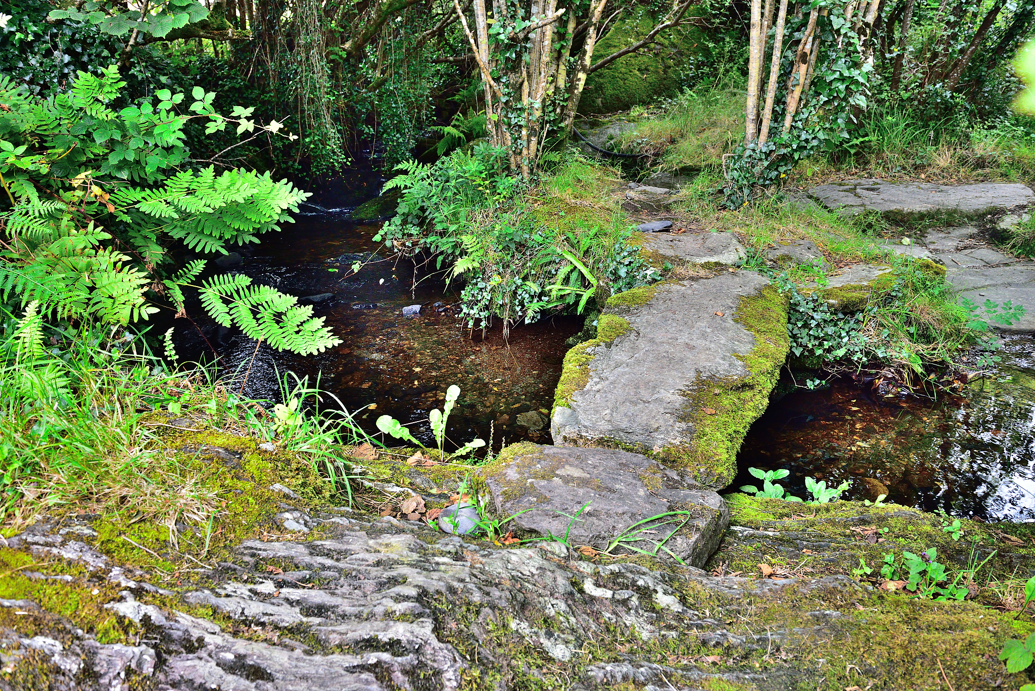 Impact of Riverine Lithogenic Material on POC Flux in Estuaries: A Modeling Study