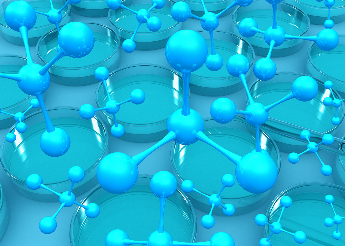 《Molecular and Cellular Biology》期刊：分子与细胞生物学研究前沿