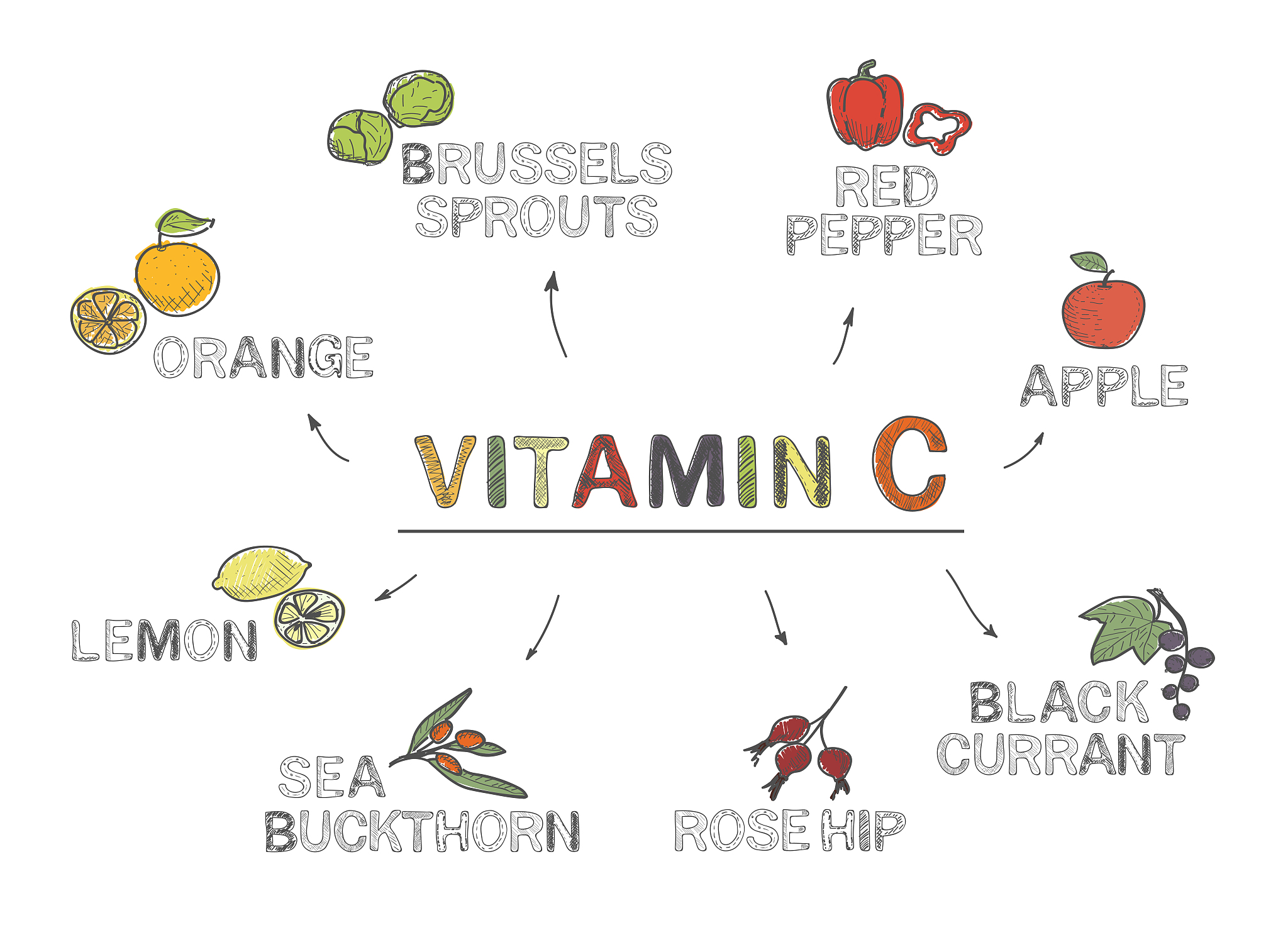 请提取出这段话的关键点要求简明扼要、分点论述食物链中的生产者微藻类、消费者浮游动物、鱼类、分解者细菌都可作为毒性试验的受试生物18。然而鱼类等受试生物在进行毒性试验时需要大量材料且重复性较差；细菌等受试生物对照组背景值变化较大不适用于评价污染物的毒性效应。而微藻作为初级生产者个体小、世代时间短、同时可影响多代微藻19其生长状态及生理生化指标的变化可有效反映污染物对其影响对环境效应相对敏感而且微藻毒