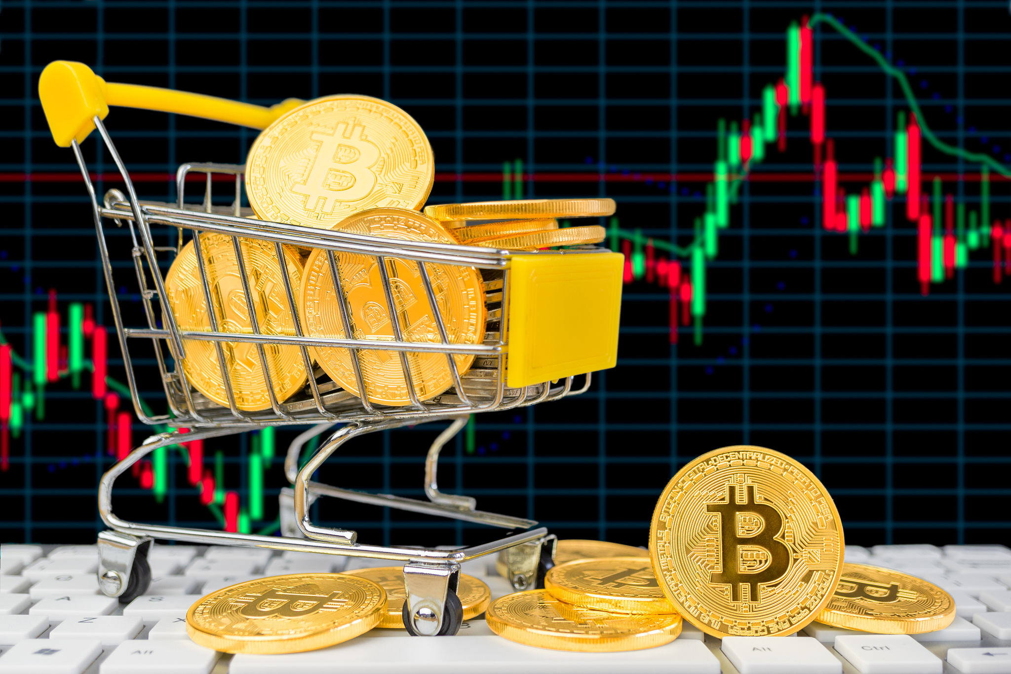 比特币和金融经济成长
