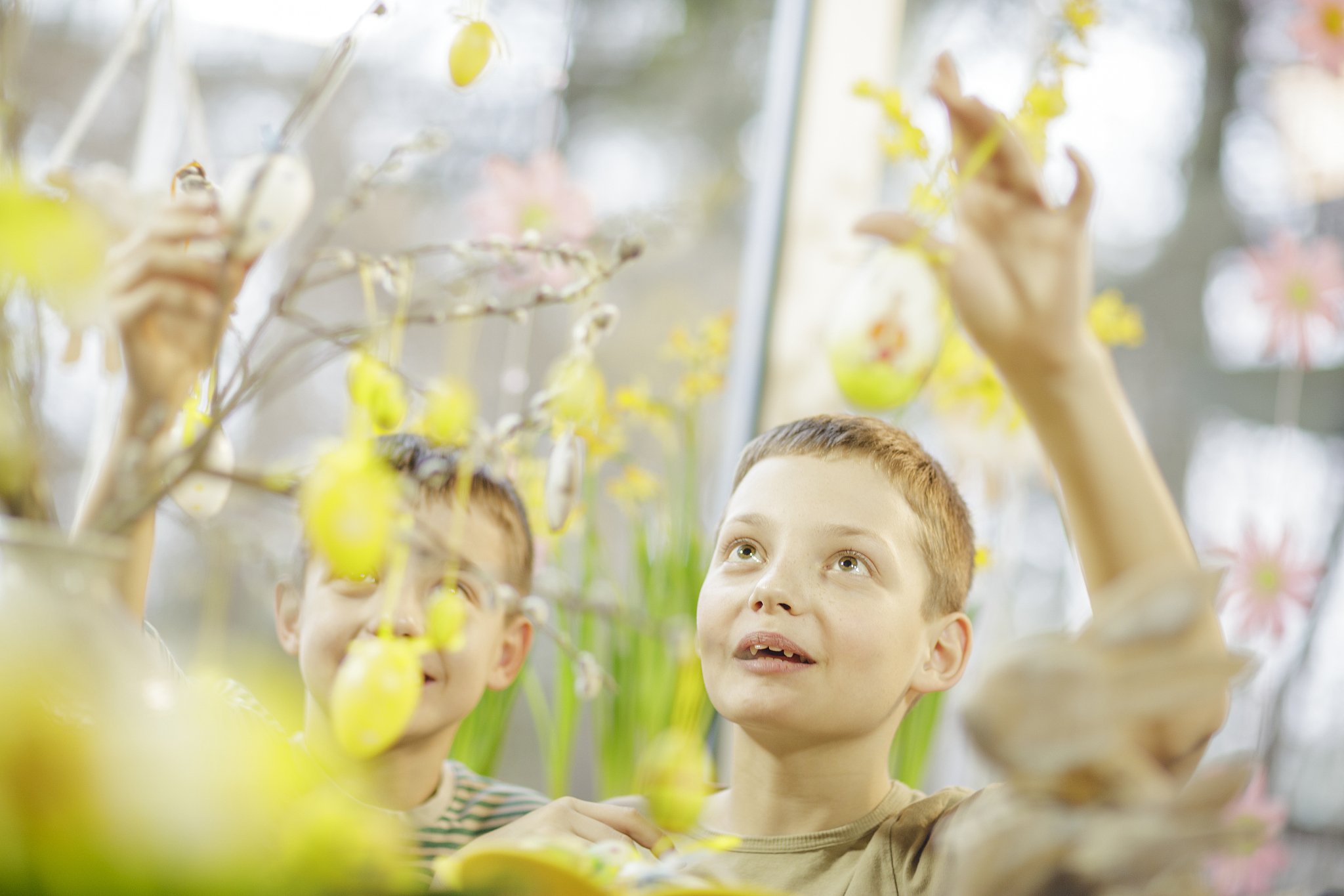 boys hanging easter decoration, osijek, croatia, europe