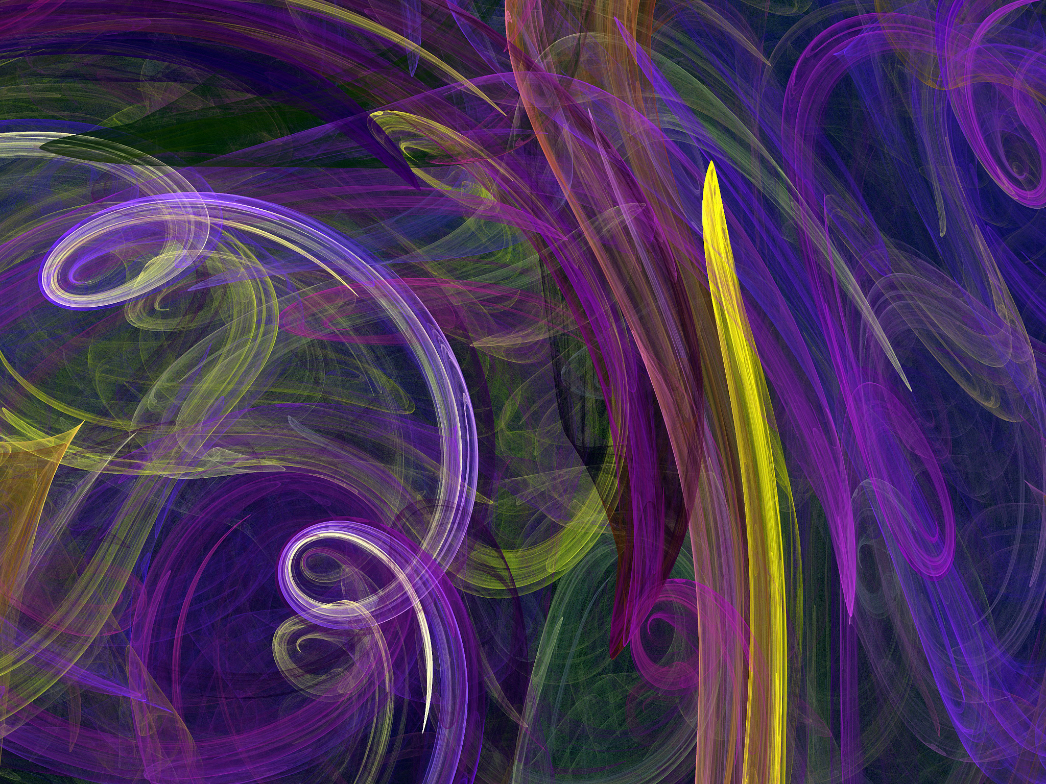 分形手指物理实验：揭示手指力学与分形结构的紧密关系