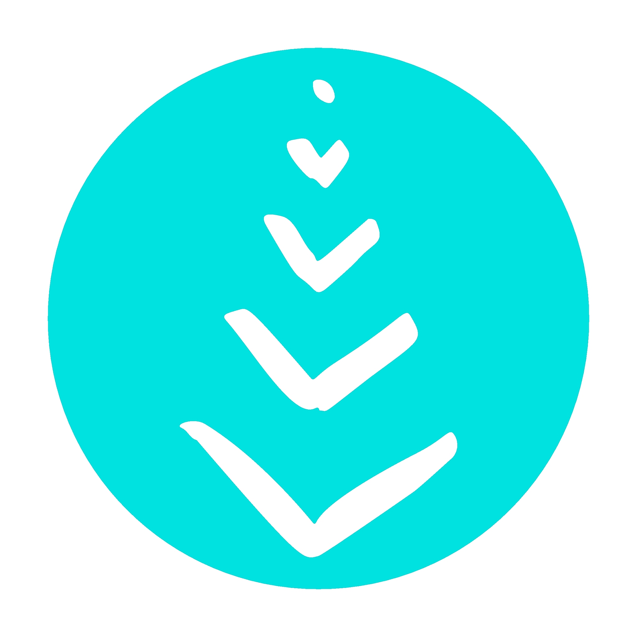 minimalistic hand drawn christmas tree fir icon isolated on whit