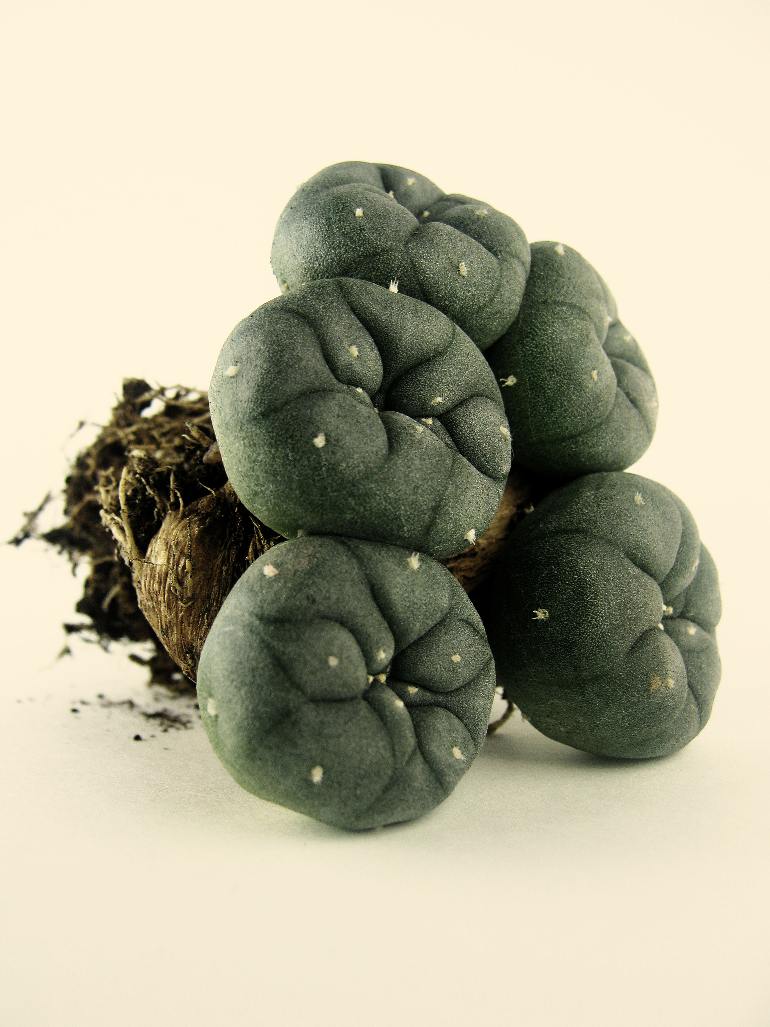 用英文写20条Minoxidill Hair Grower的网购好评