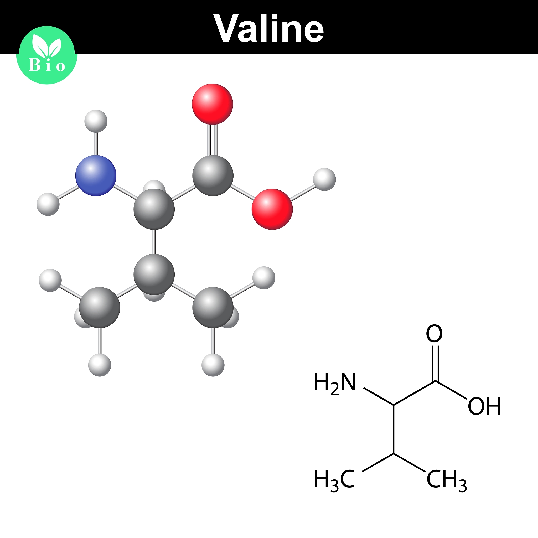 湖泊水体碳循环主要集中在哪几个代谢过程？