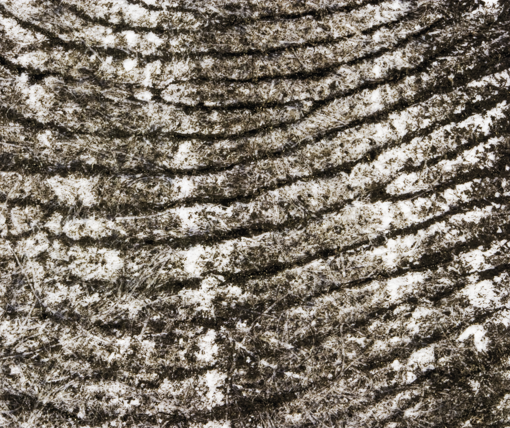 湖南女子大学2019年专业设置及热门专业推荐