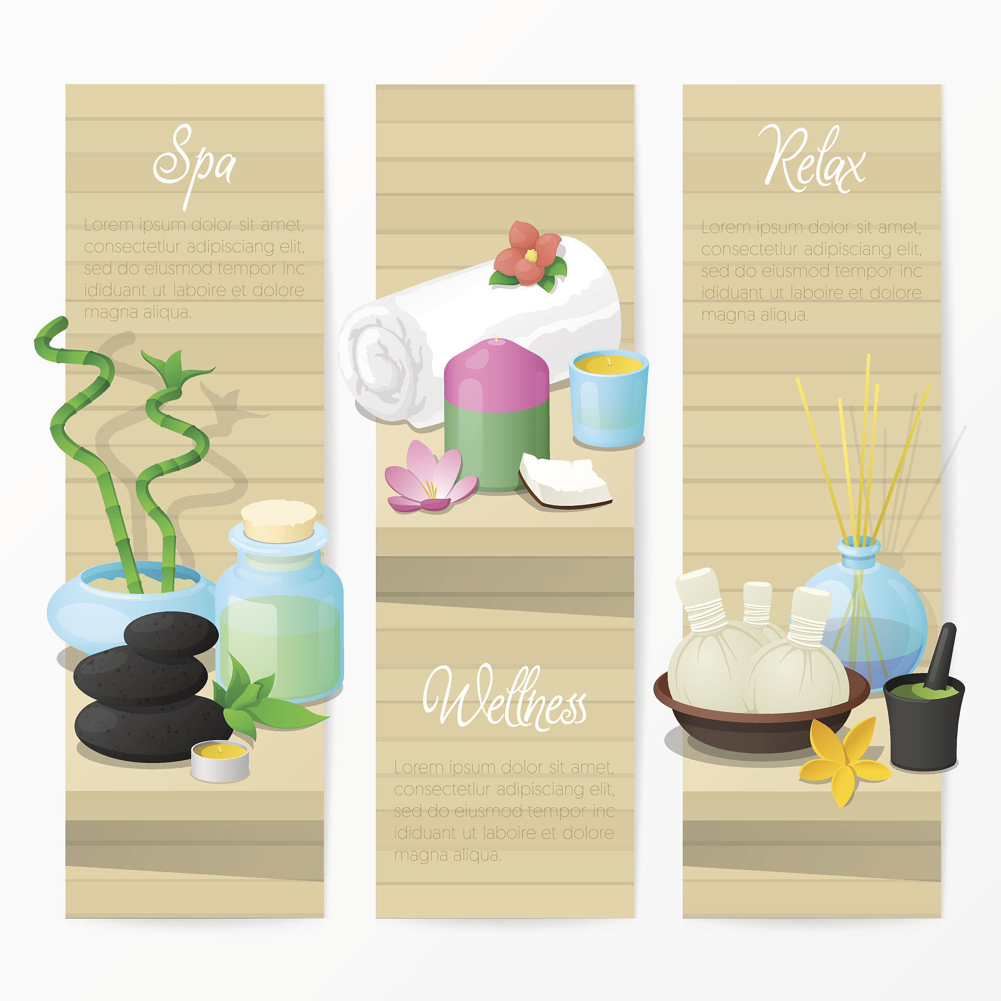 竹子定律荷花定律