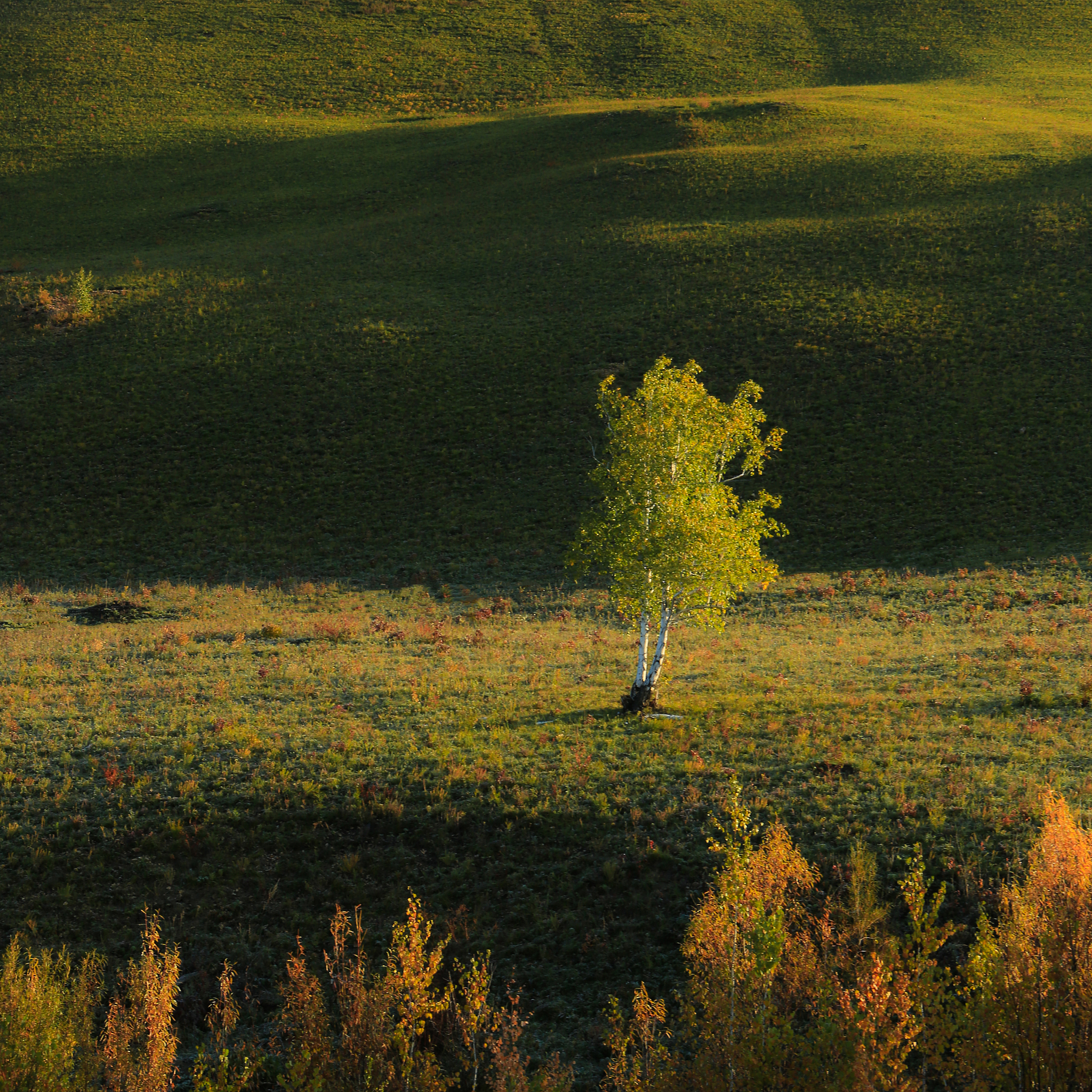 内蒙古国家级示范中职中专学校名单：2020年最新整理