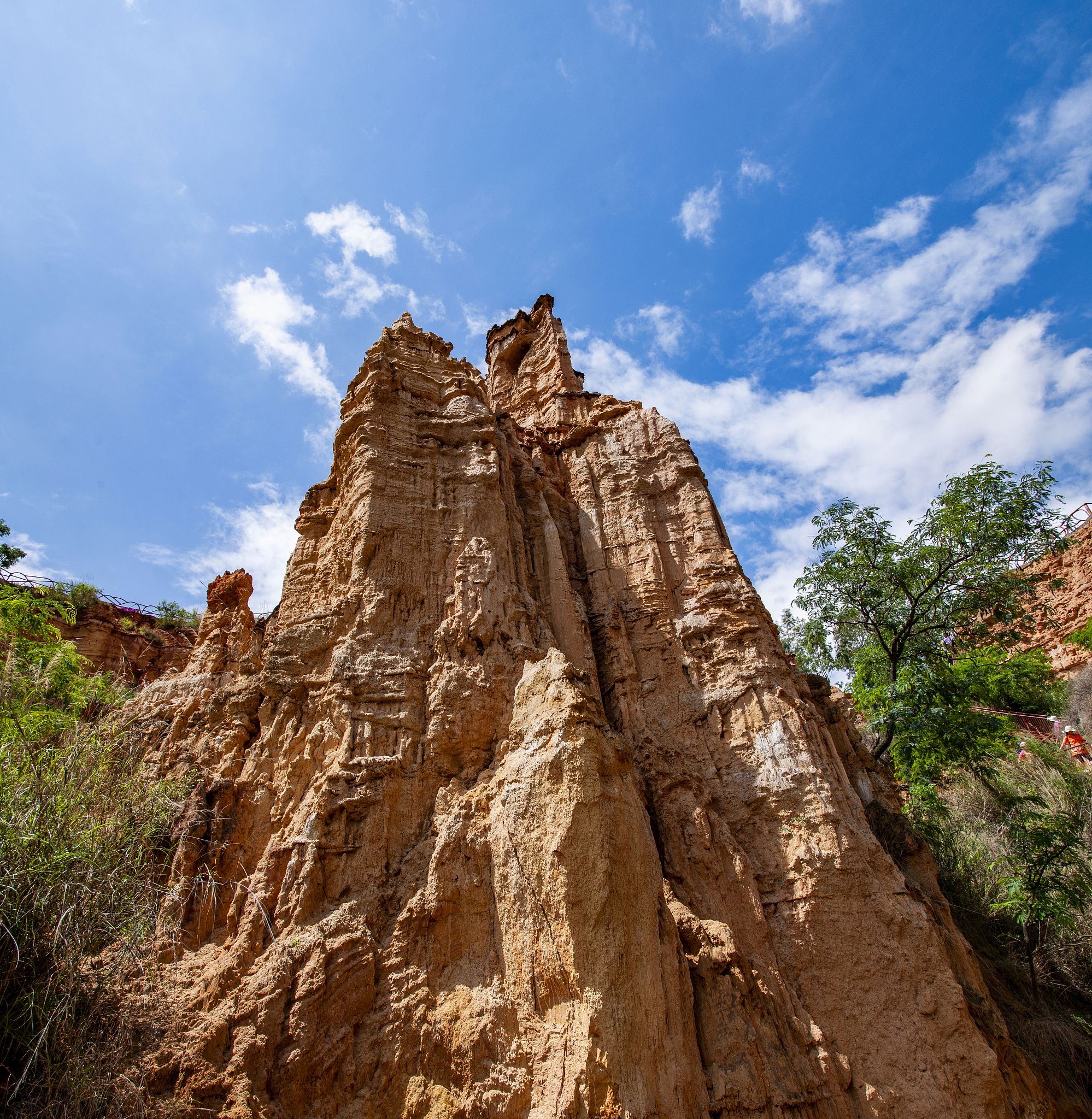 楚雄中专学校热门专业推荐，就业前景广阔！