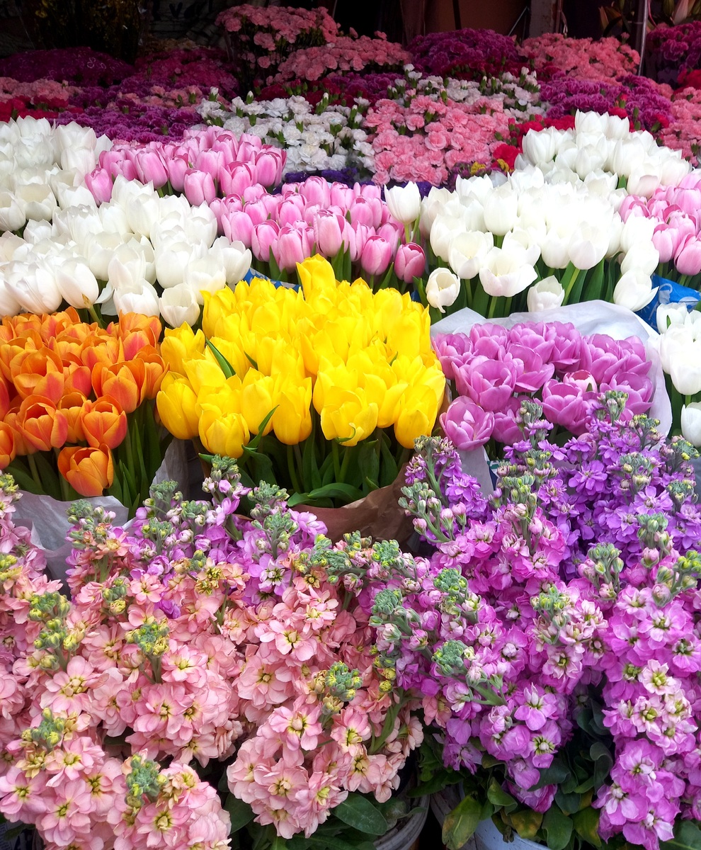 云南大理发展花卉种植发挥了什么作用