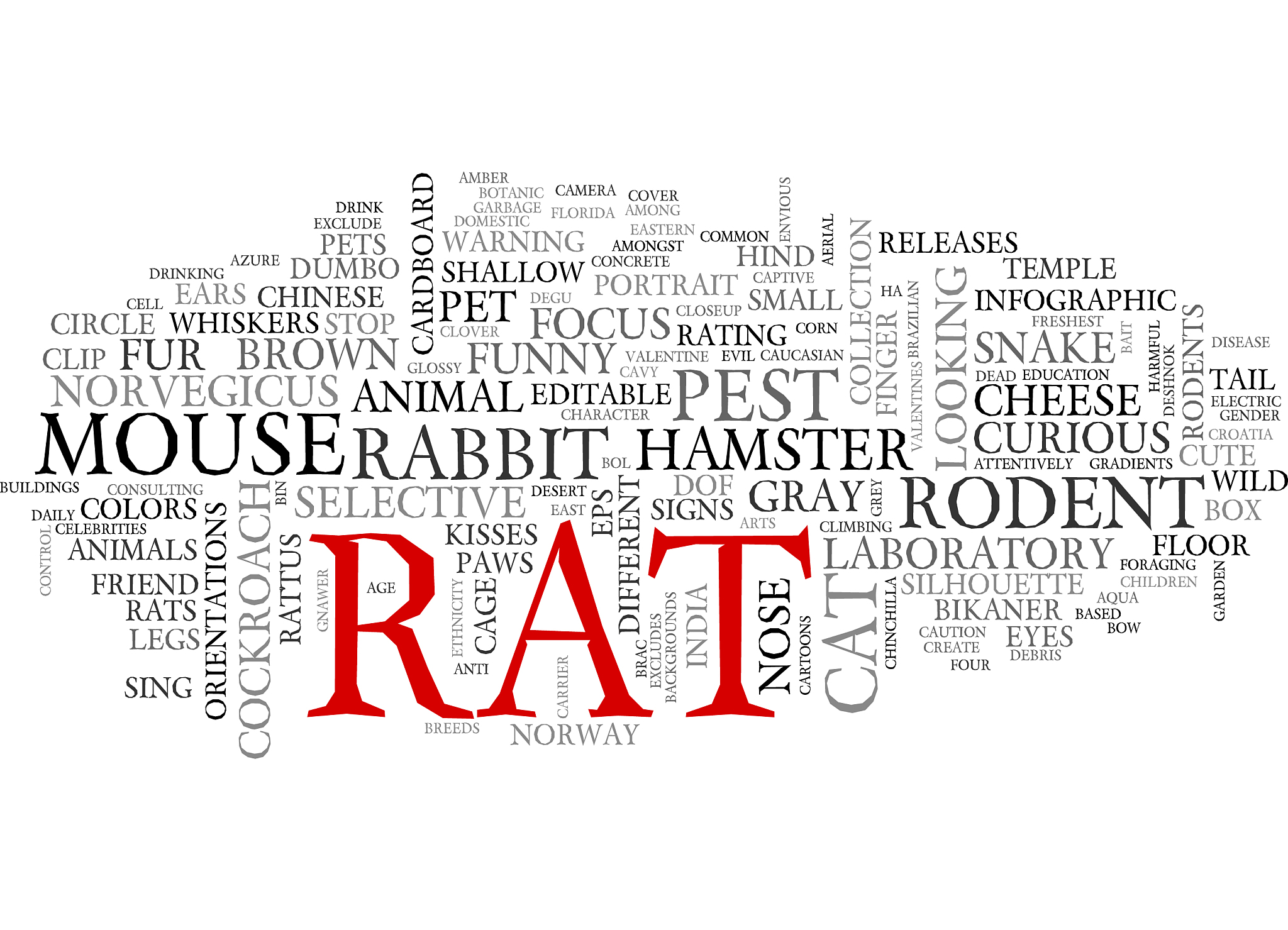 帮我策划一个搞笑型新媒体创意广告脚本