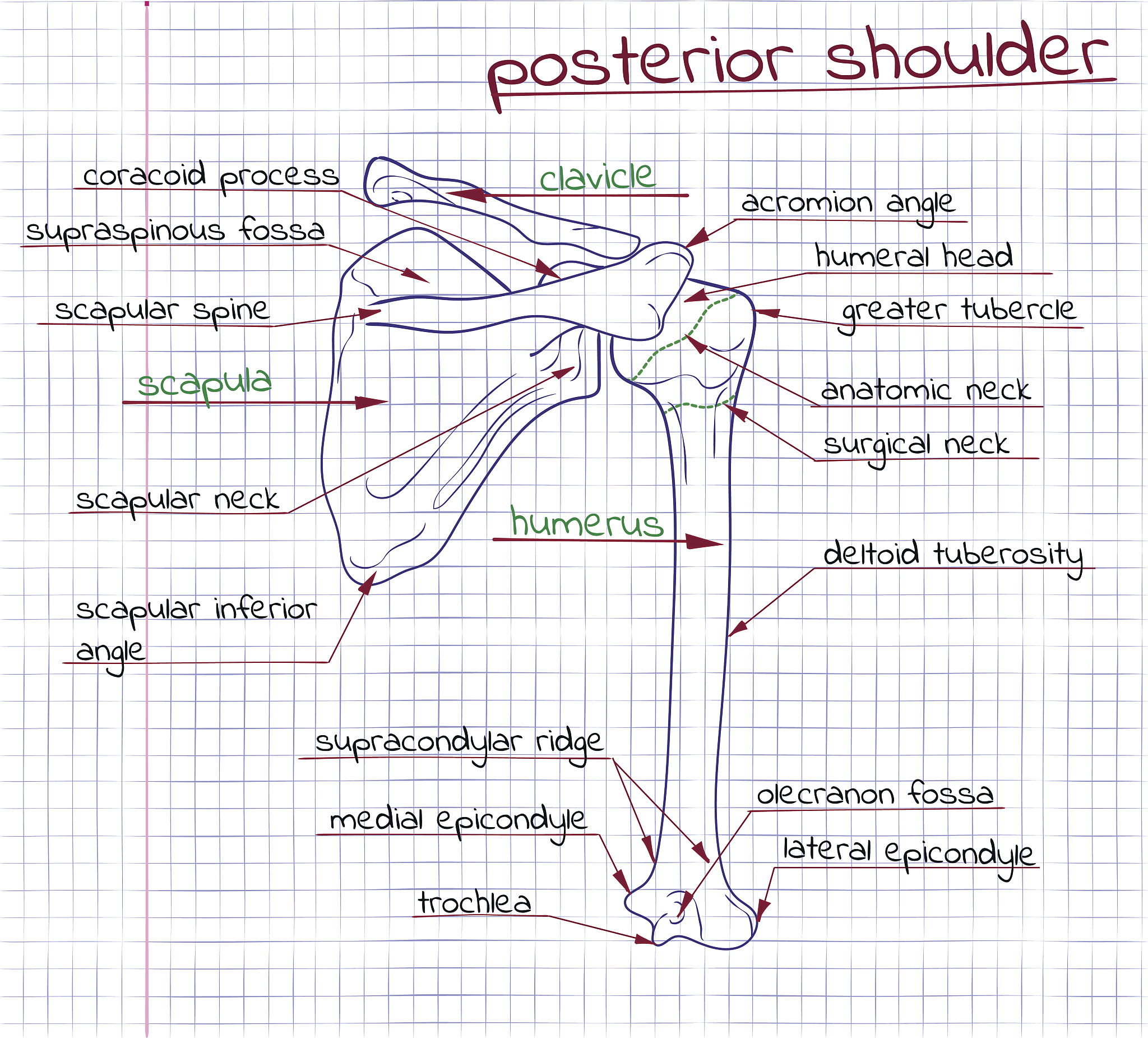 2013年山东理工大学的王陈陈马明建等在高斯投影的基础上采用解析法计算农田面积。对一个134 m×83 m的矩形地块分别进行了航线法和航迹法的面积测量误差比较测量误差分别为46和61。在面积为10 715 m2的400 m田径操场上对航迹法和二次插值法的面积测量误差进行比较测量误差分别为253和20。试验的结果表明测量规则的矩形地块使用航线法的测量精度比航迹法要高；对于不规则形状的地块采用二次插值
