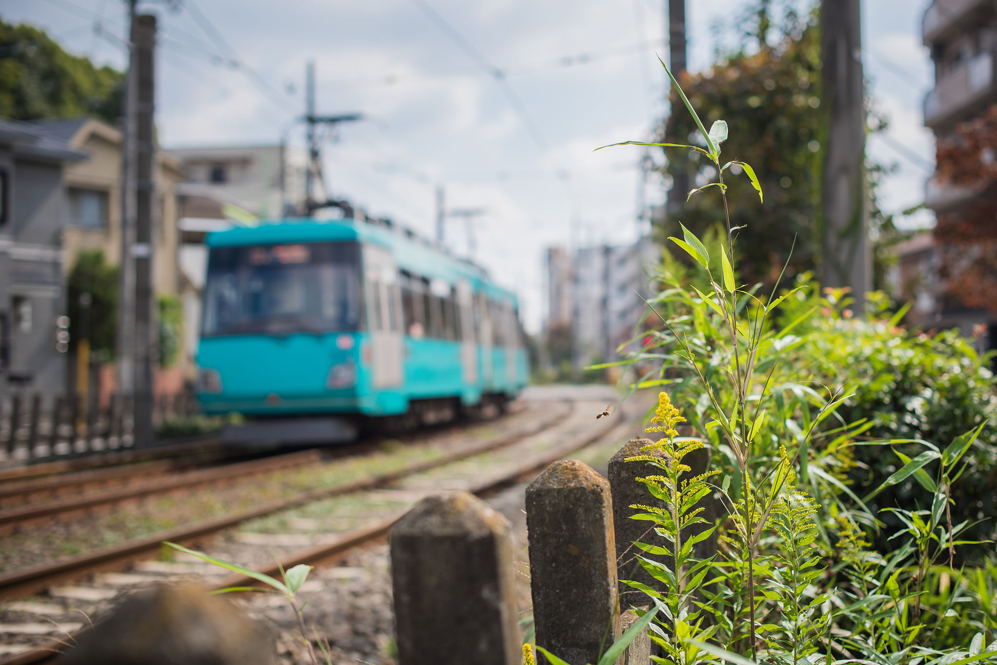 四川广安铁路运输学校的办学规模如何