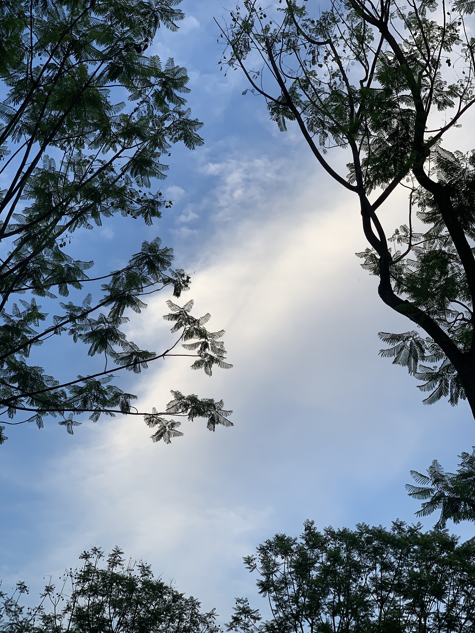 改写以下文字：我是一个踏实稳重、待人真诚的人。在工作时我认真负责、善于学习。我经常浏览行业优秀作品并学习前沿专业技能以确保我的作品顺应时代趋势。在空闲时我热爱骑车、收集游戏设定集并且乐于发现生活中的美好。