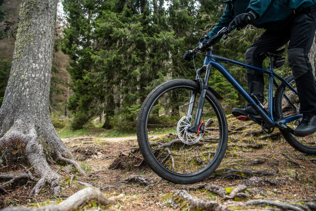 探索历史与创新：Trek 自行车品牌的卓越之旅