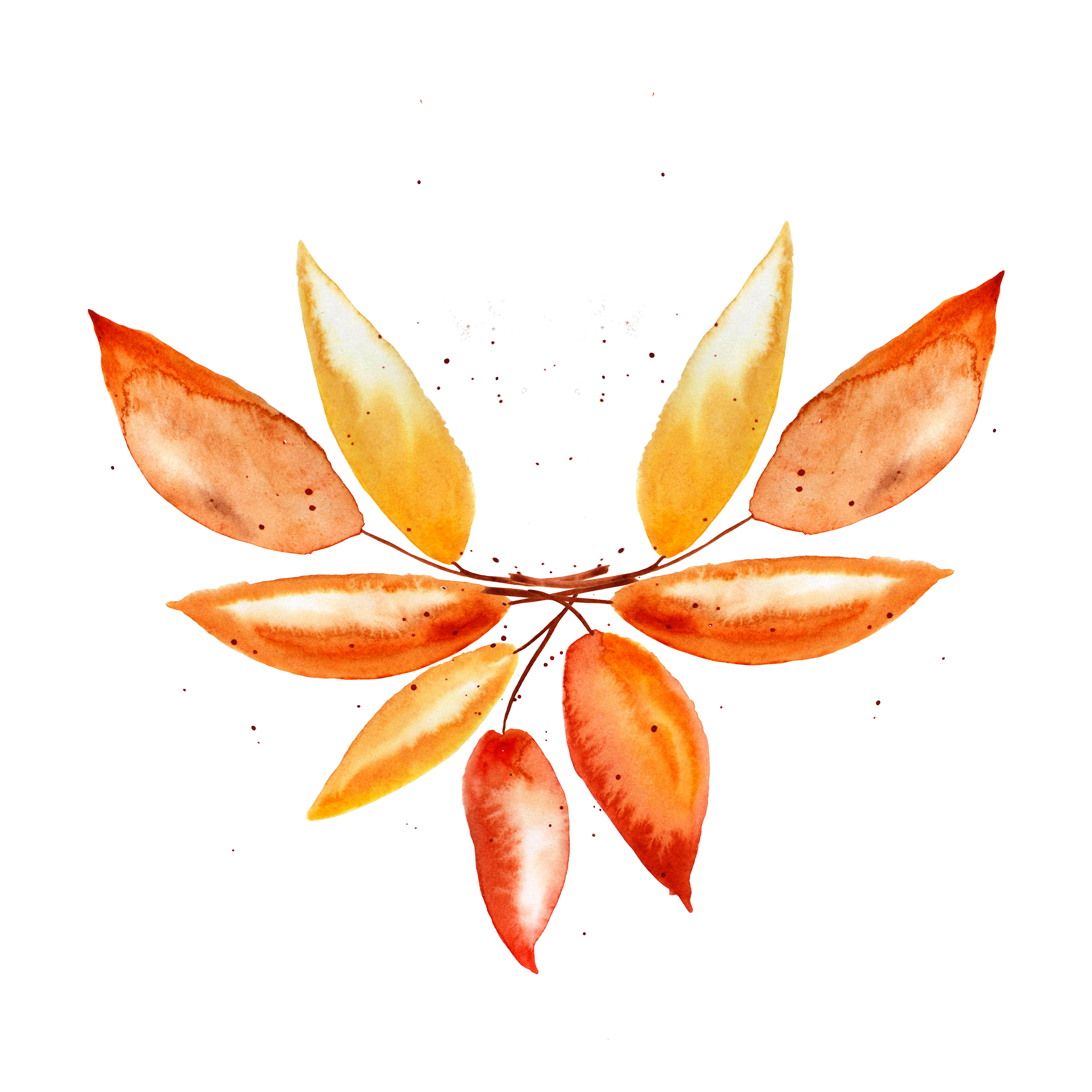 AI绘画关键词：写实彩色枫叶，比重大模糊背景